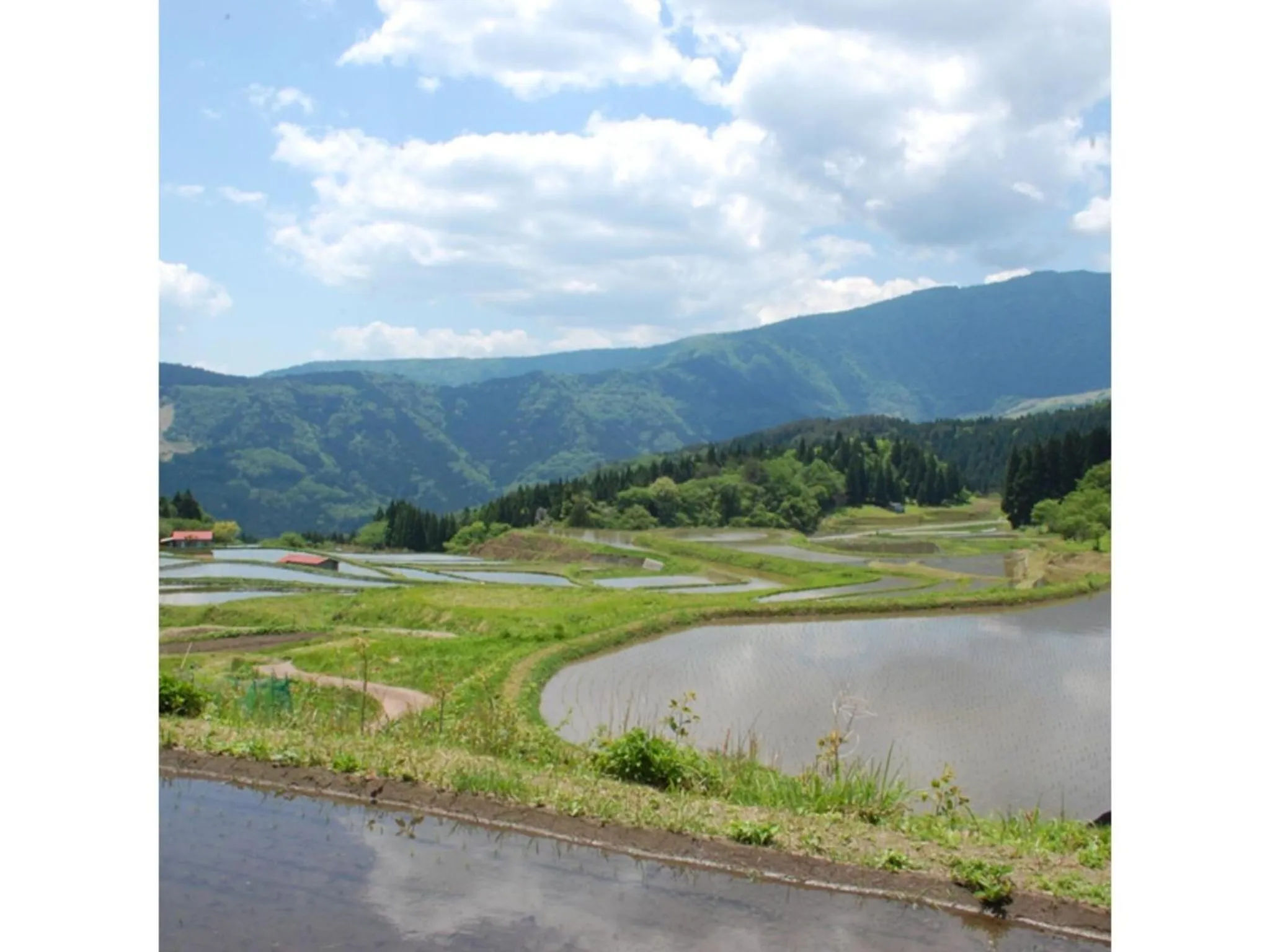 Pure Hotel - Vacation STAY 44177v