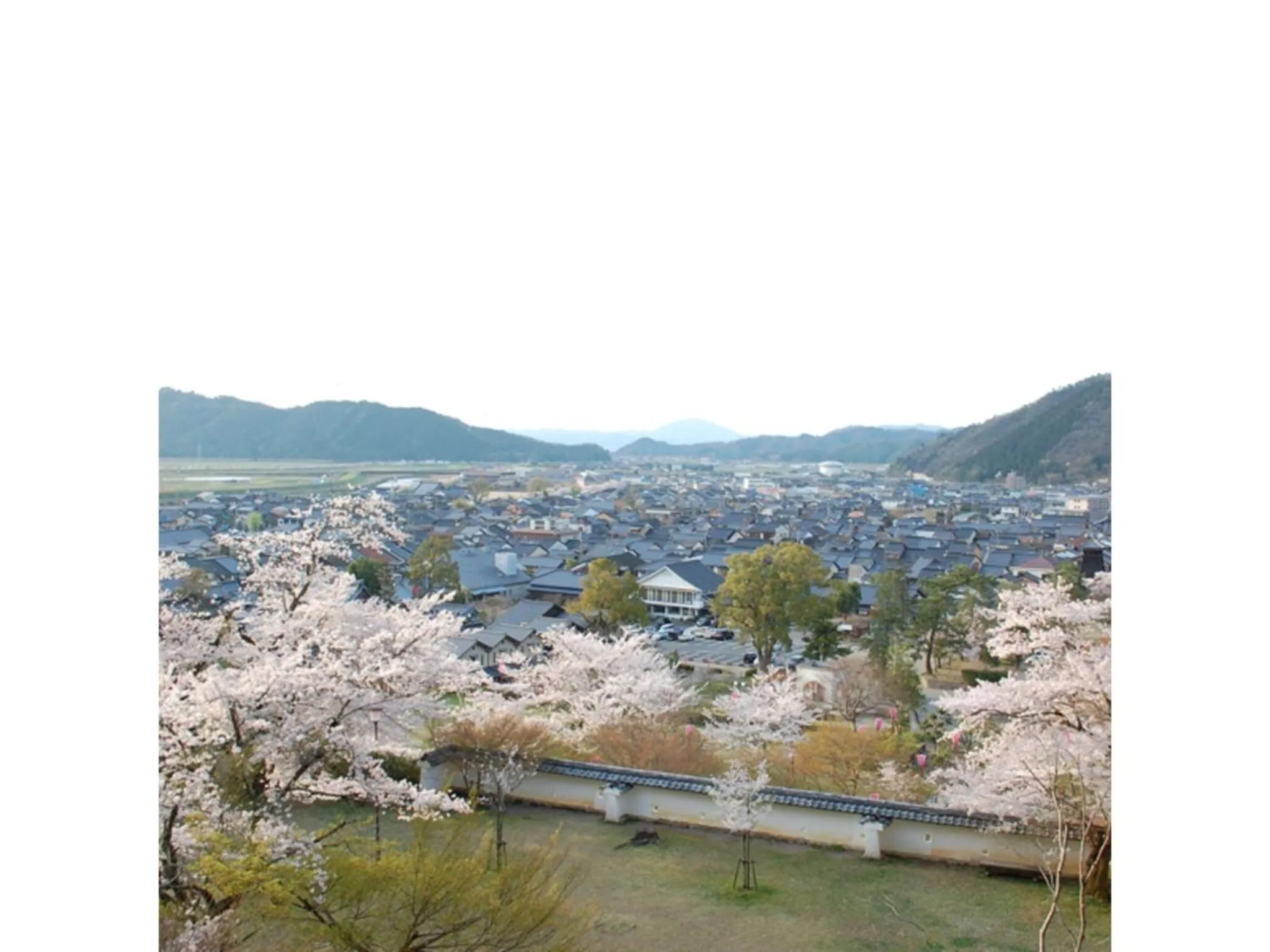 Pure Hotel - Vacation STAY 44177v