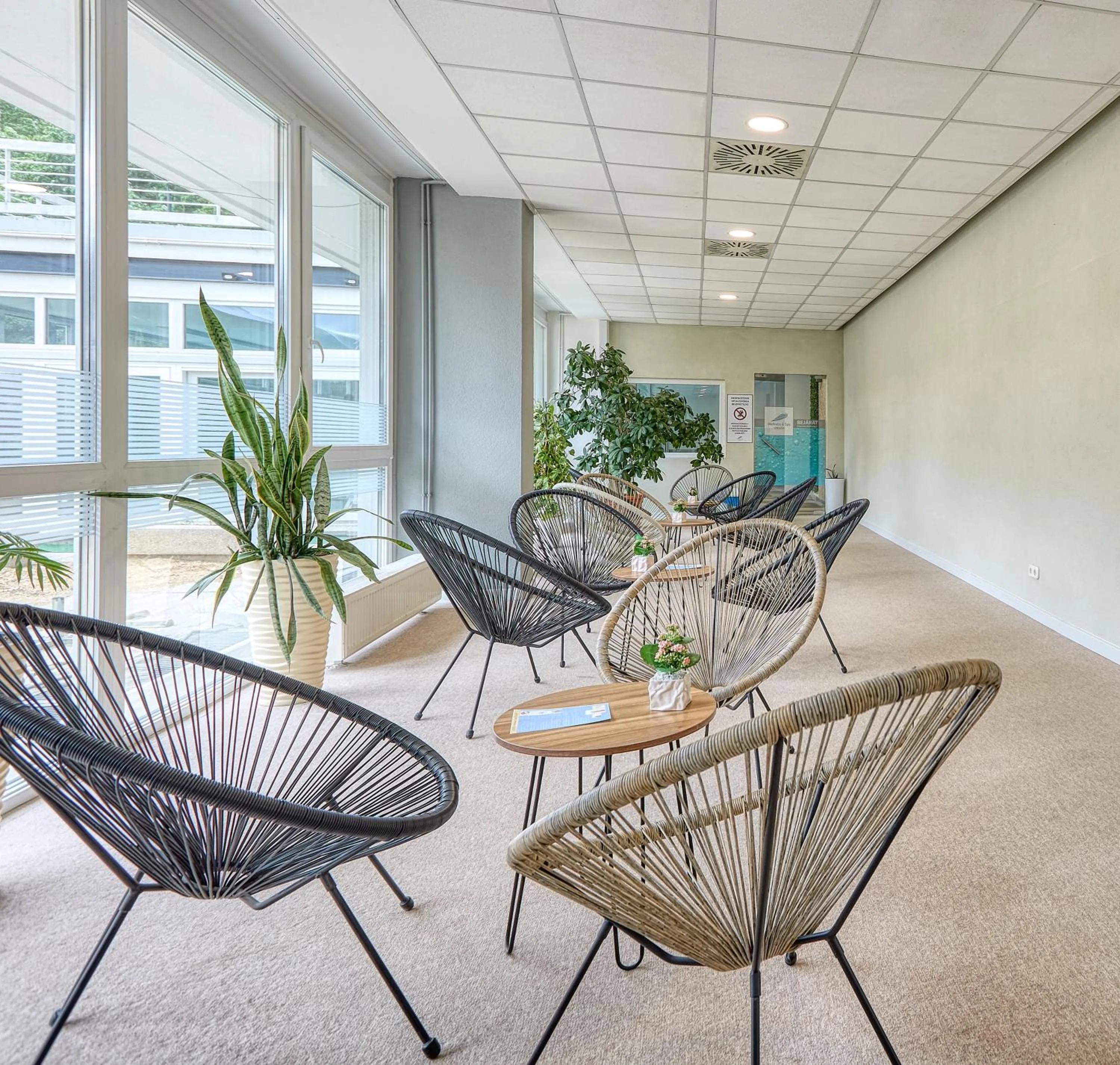 Lounge or bar in Hotel Szieszta