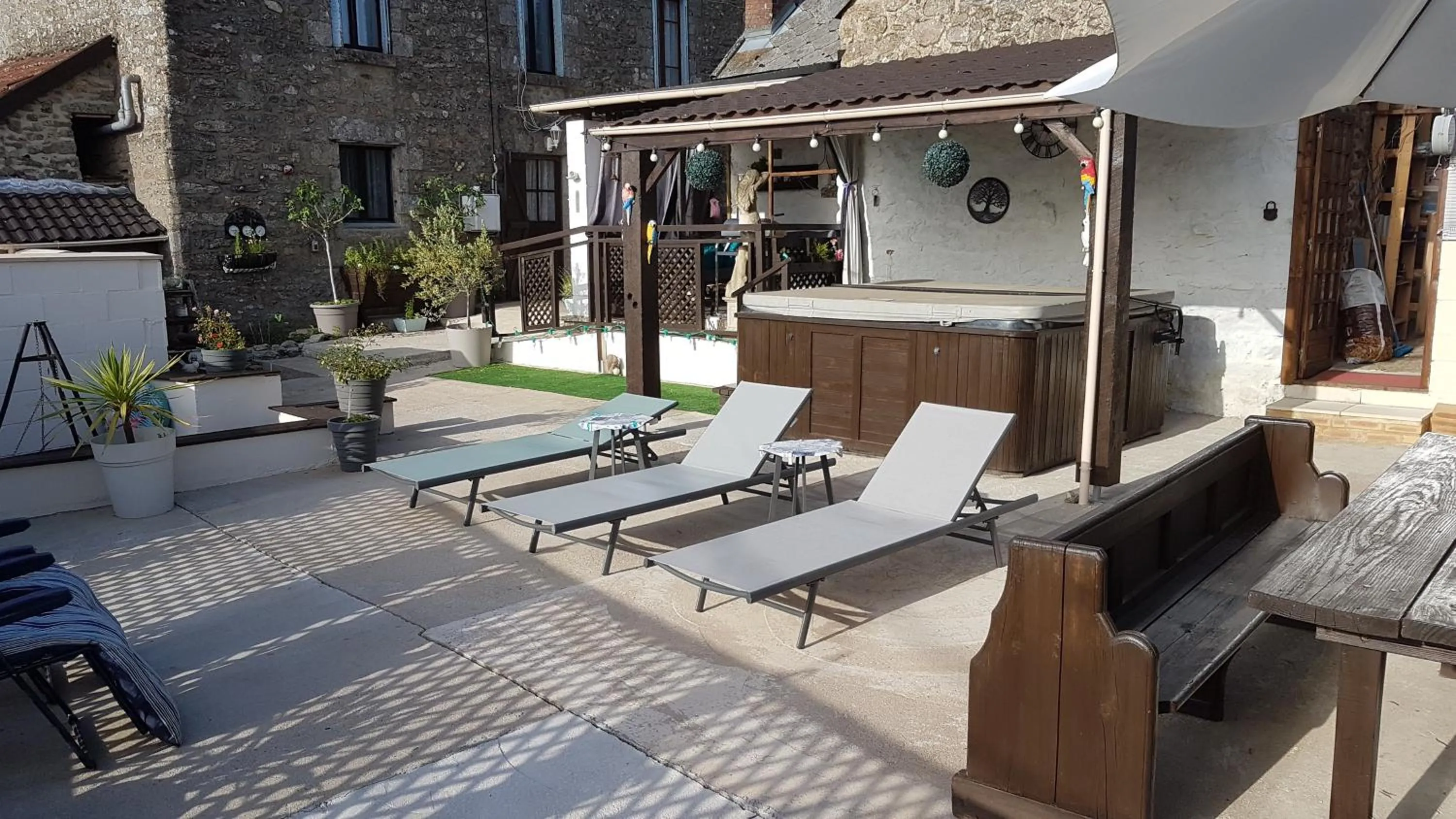 Garden in Sycamore House