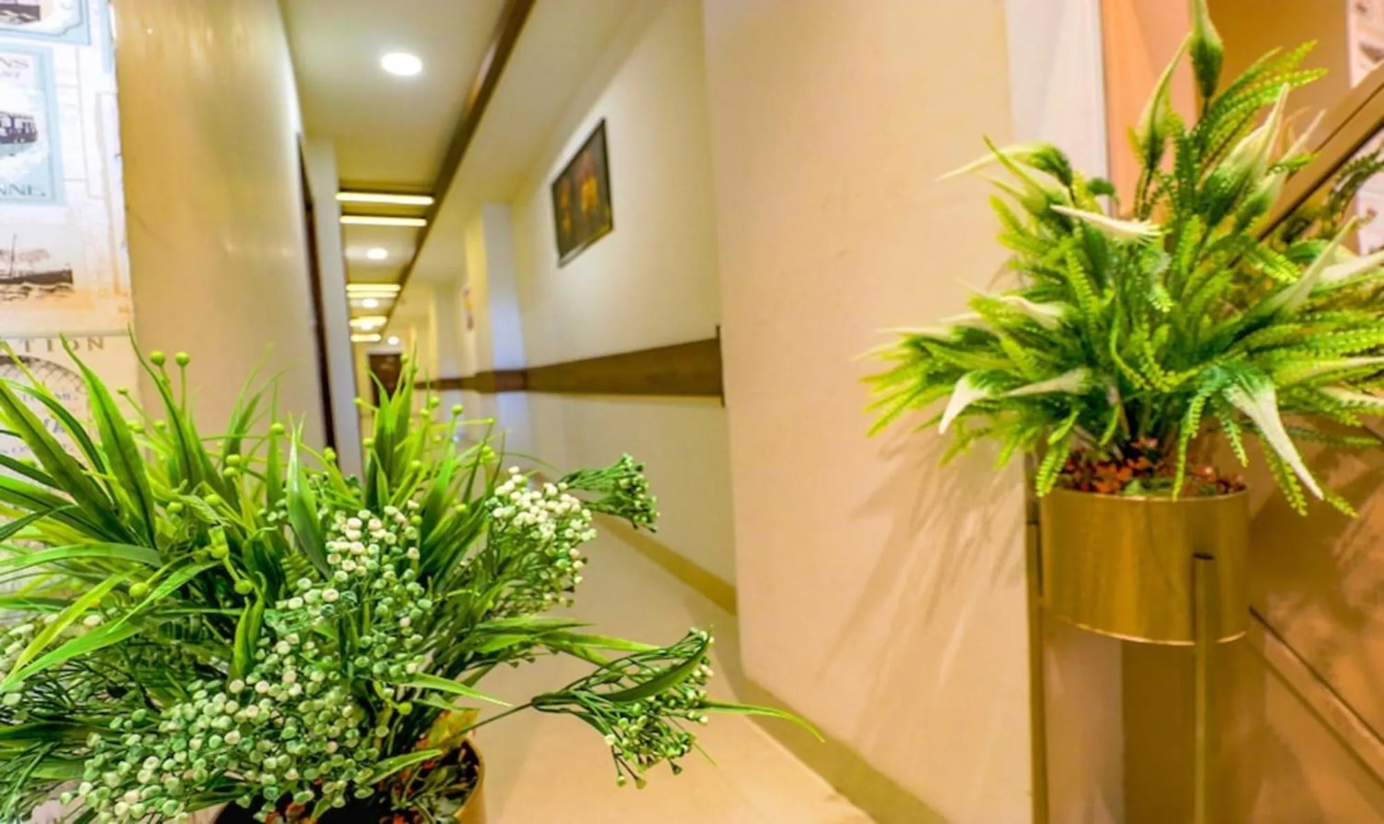 Lobby or reception in Hotel California Heights