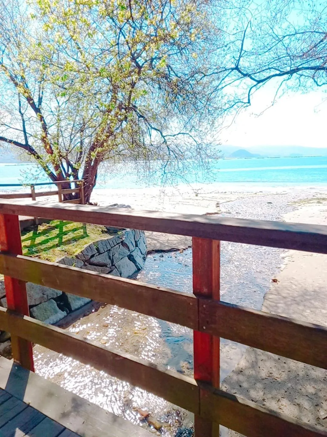 Sea view in HOTEL MAREA