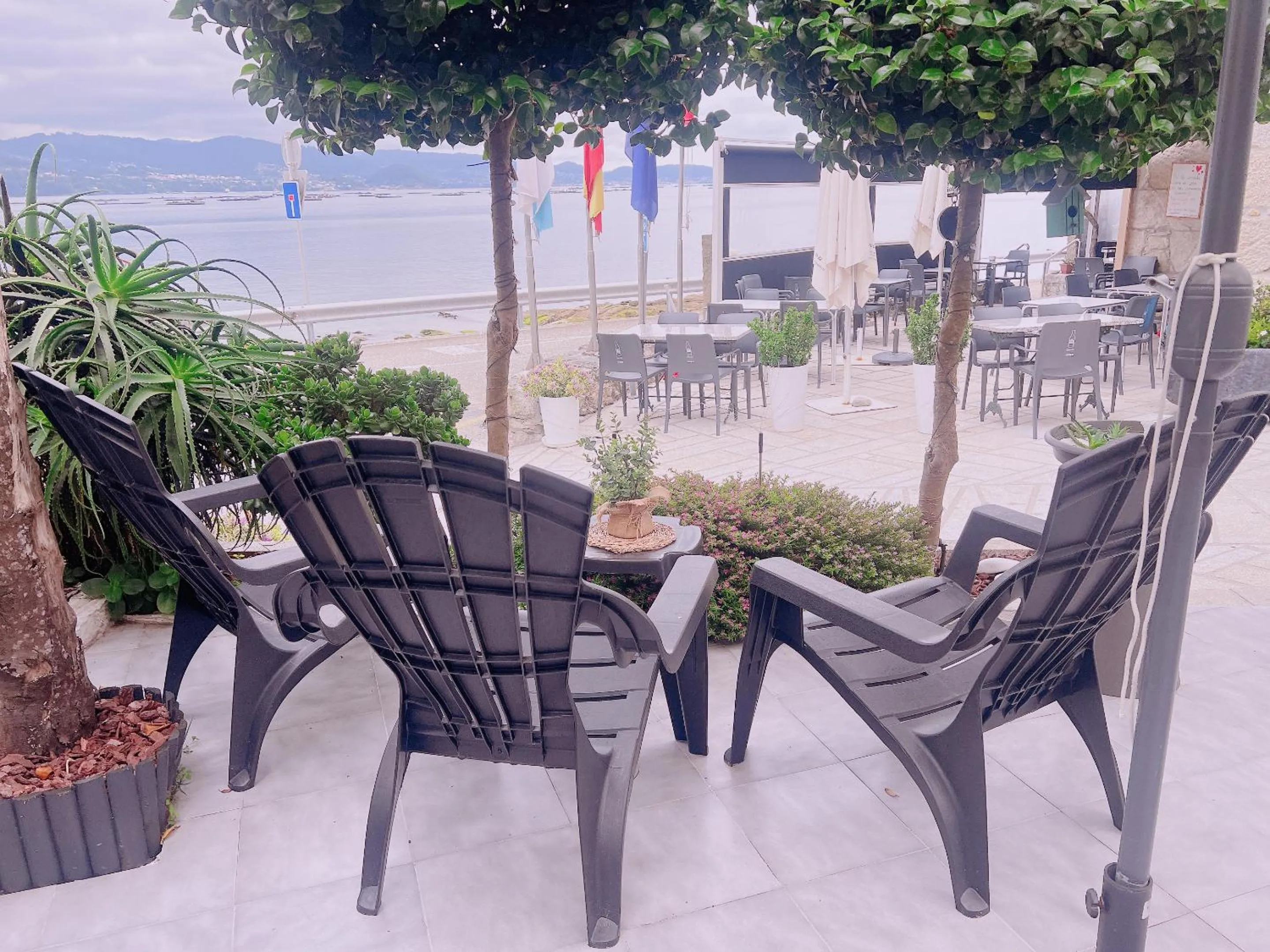 Property building in HOTEL MAREA