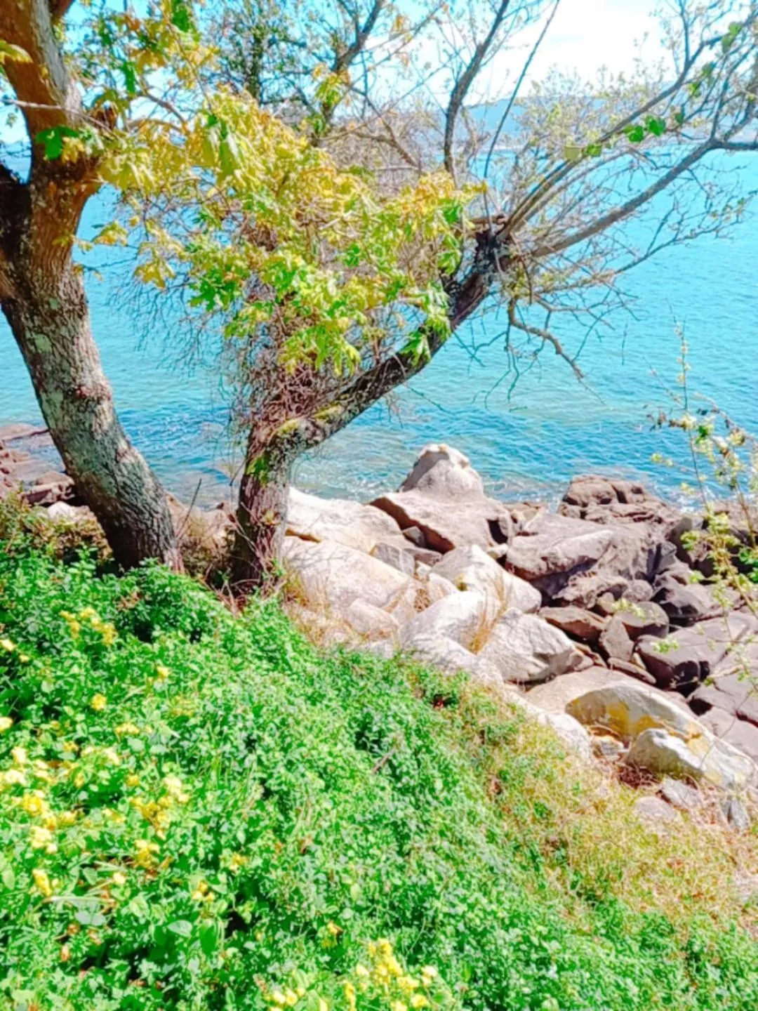 Off site in HOTEL MAREA