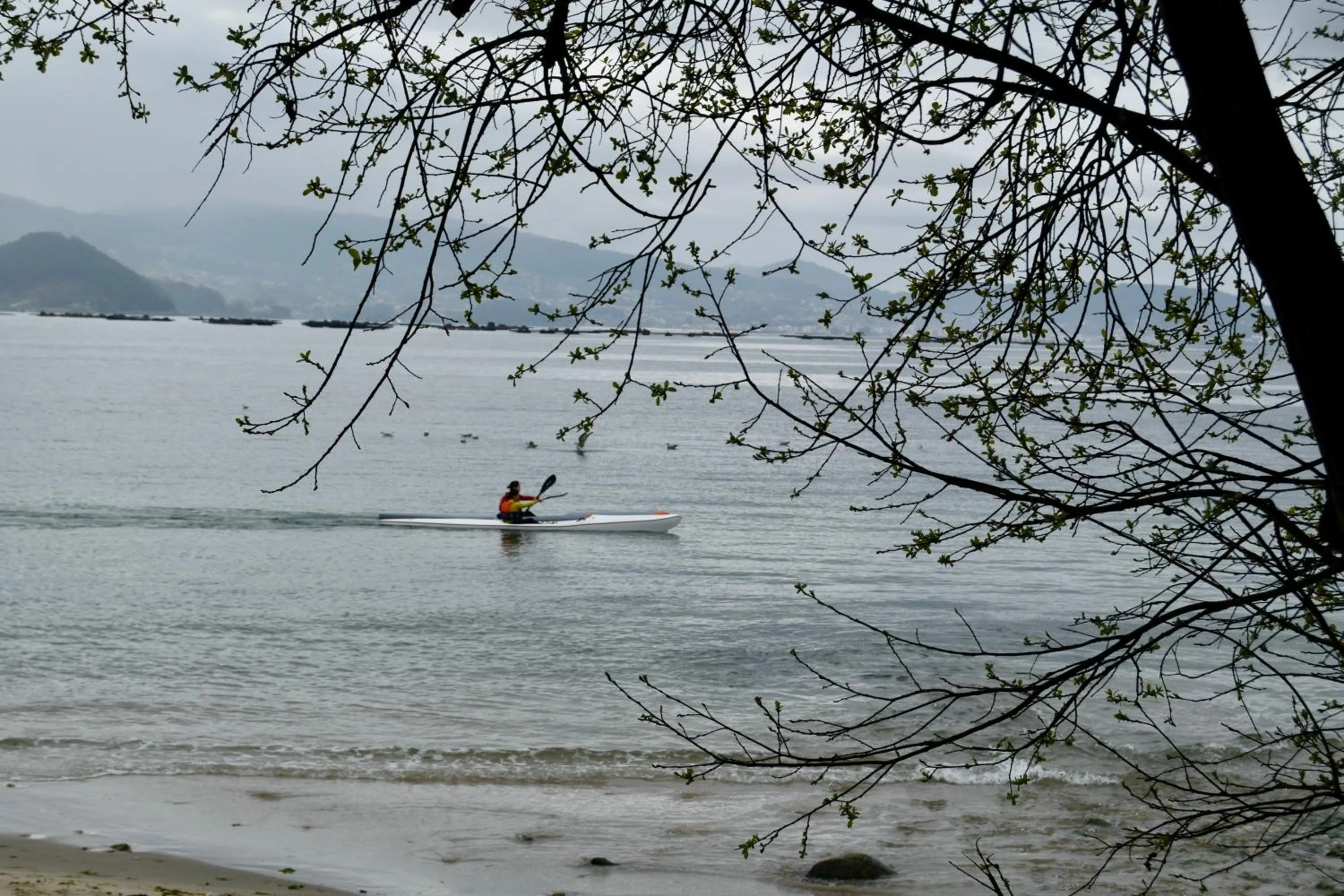 Off site in HOTEL MAREA