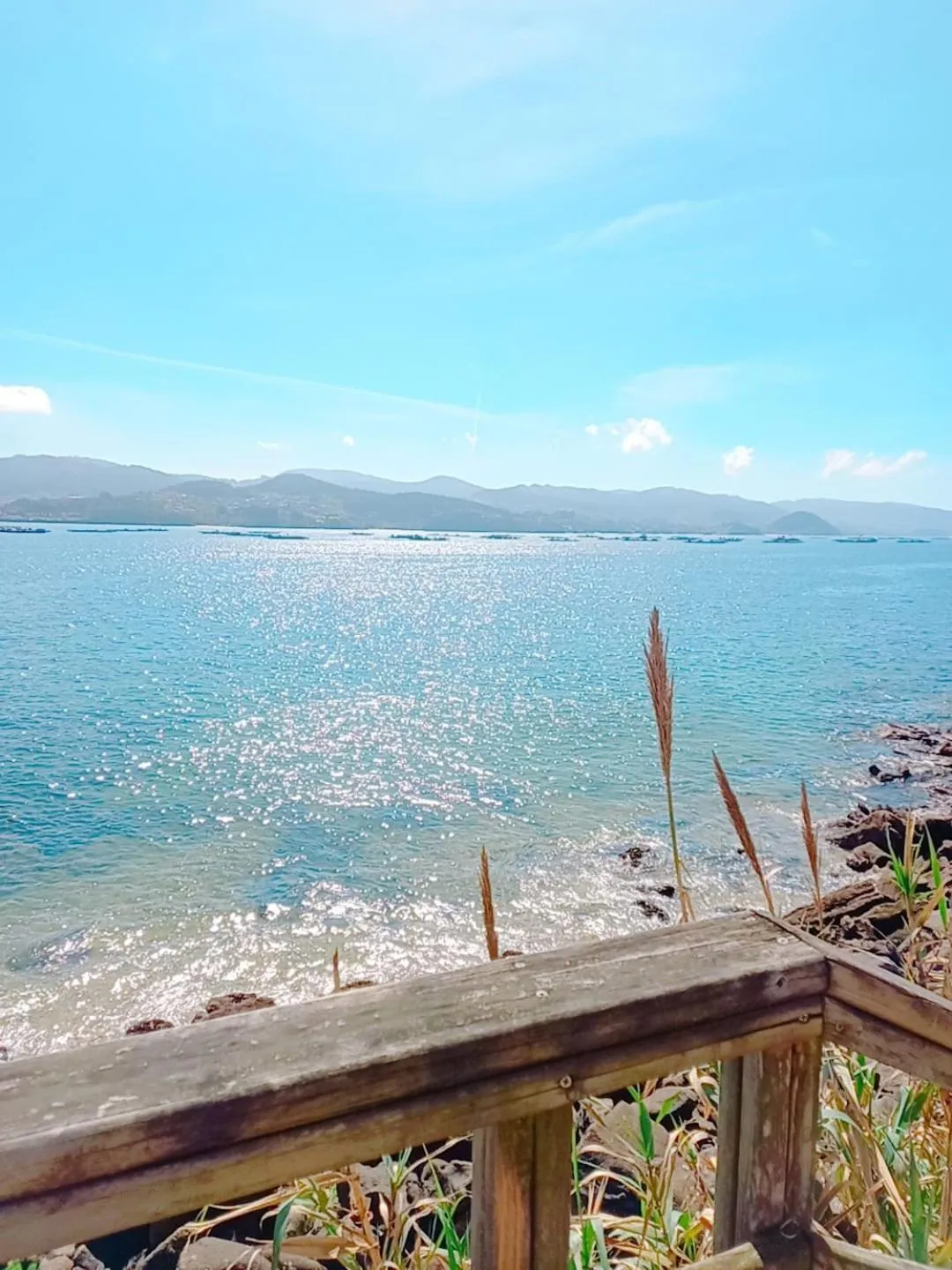 Sea view in HOTEL MAREA