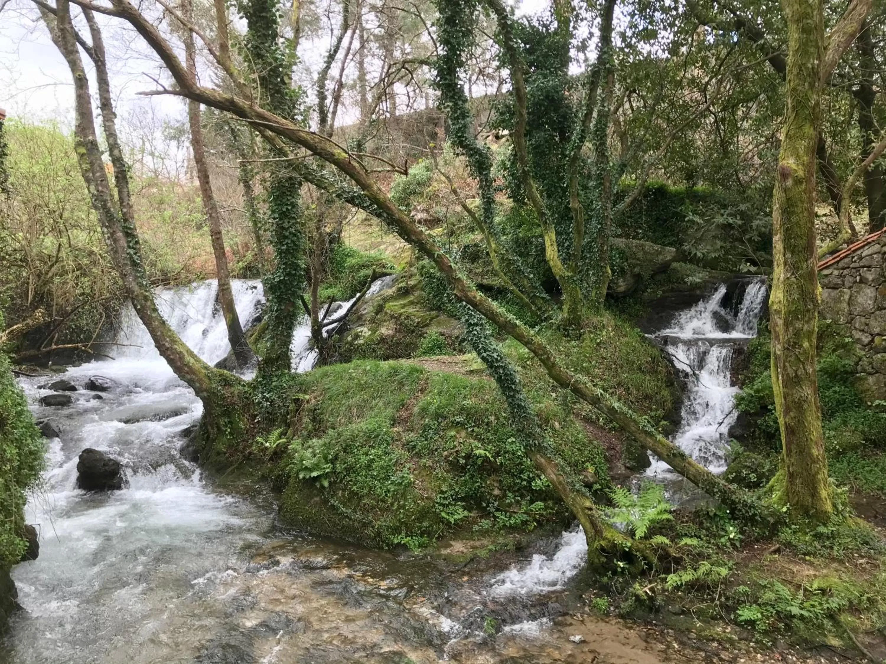 Natural landscape in HOTEL MAREA
