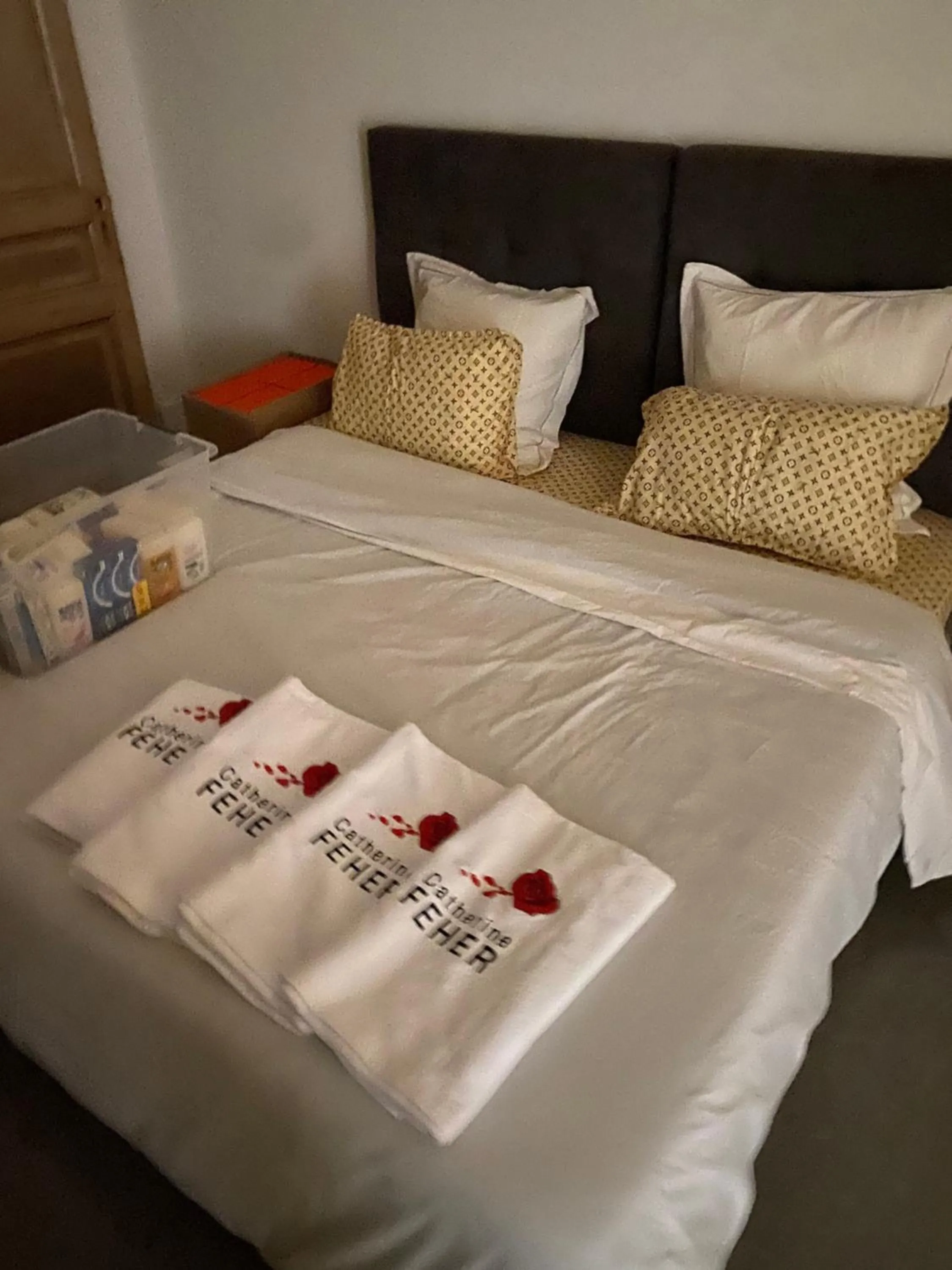 Bed in Croisette Palais festival 5 minutes , 170 m2 moderne spacious