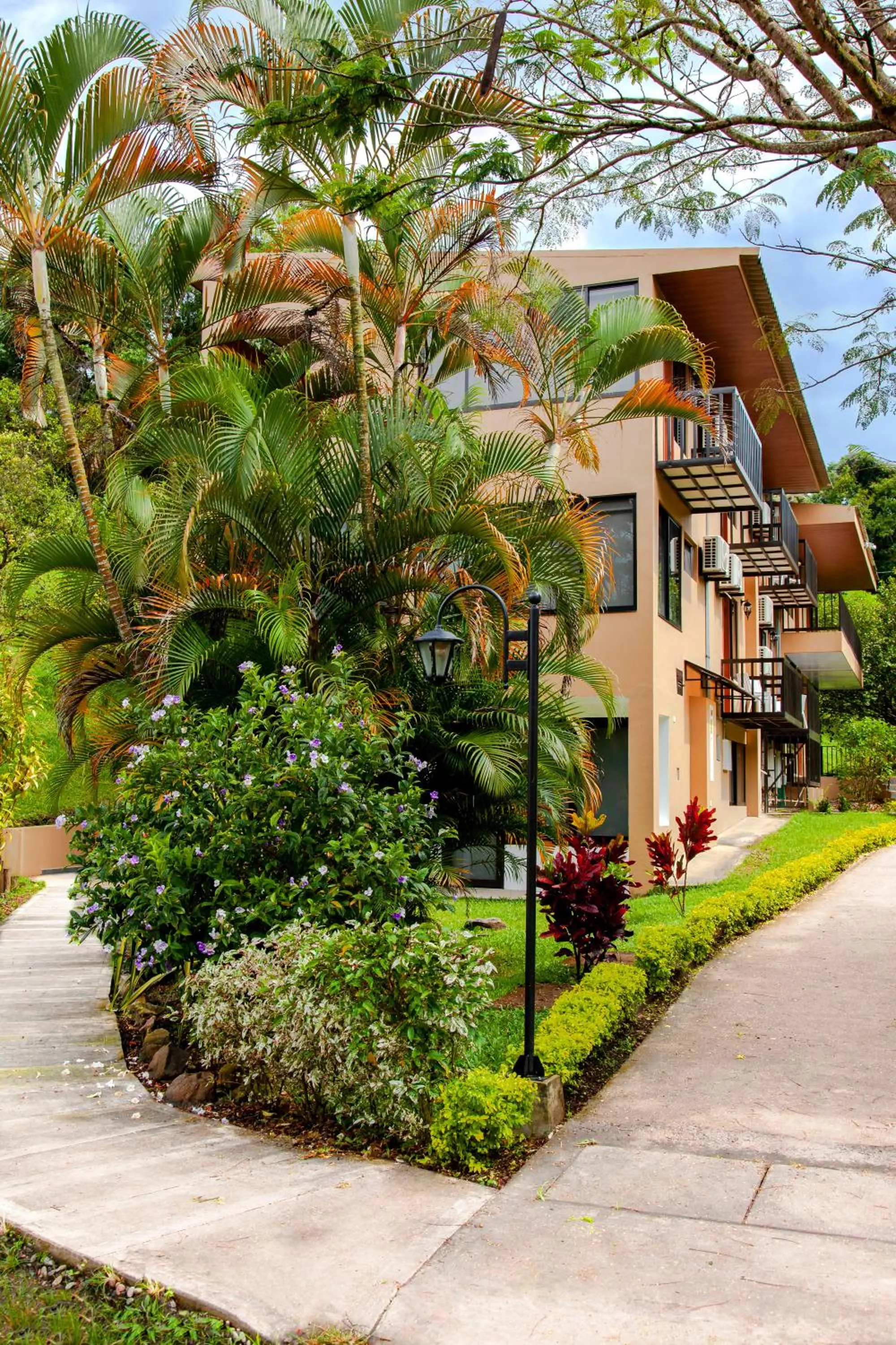 Natural landscape in Hotel Nana