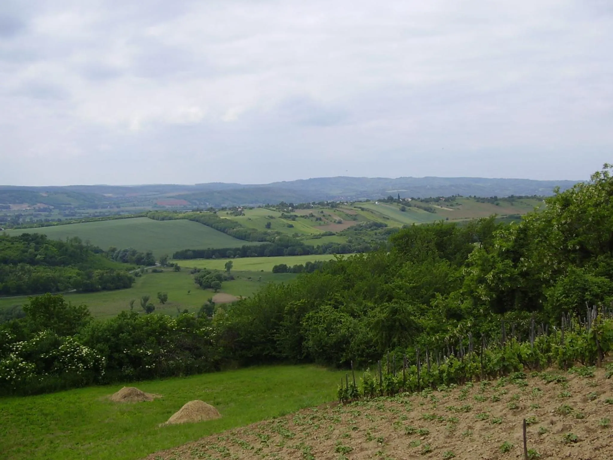 Nearby landmark in Hotel Touring