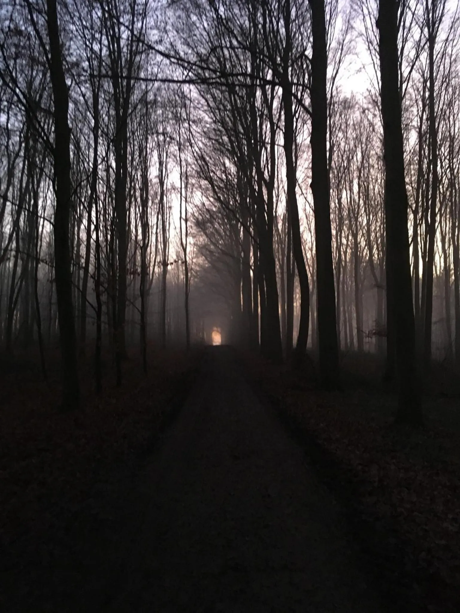 Natural landscape in B&B Miranoza