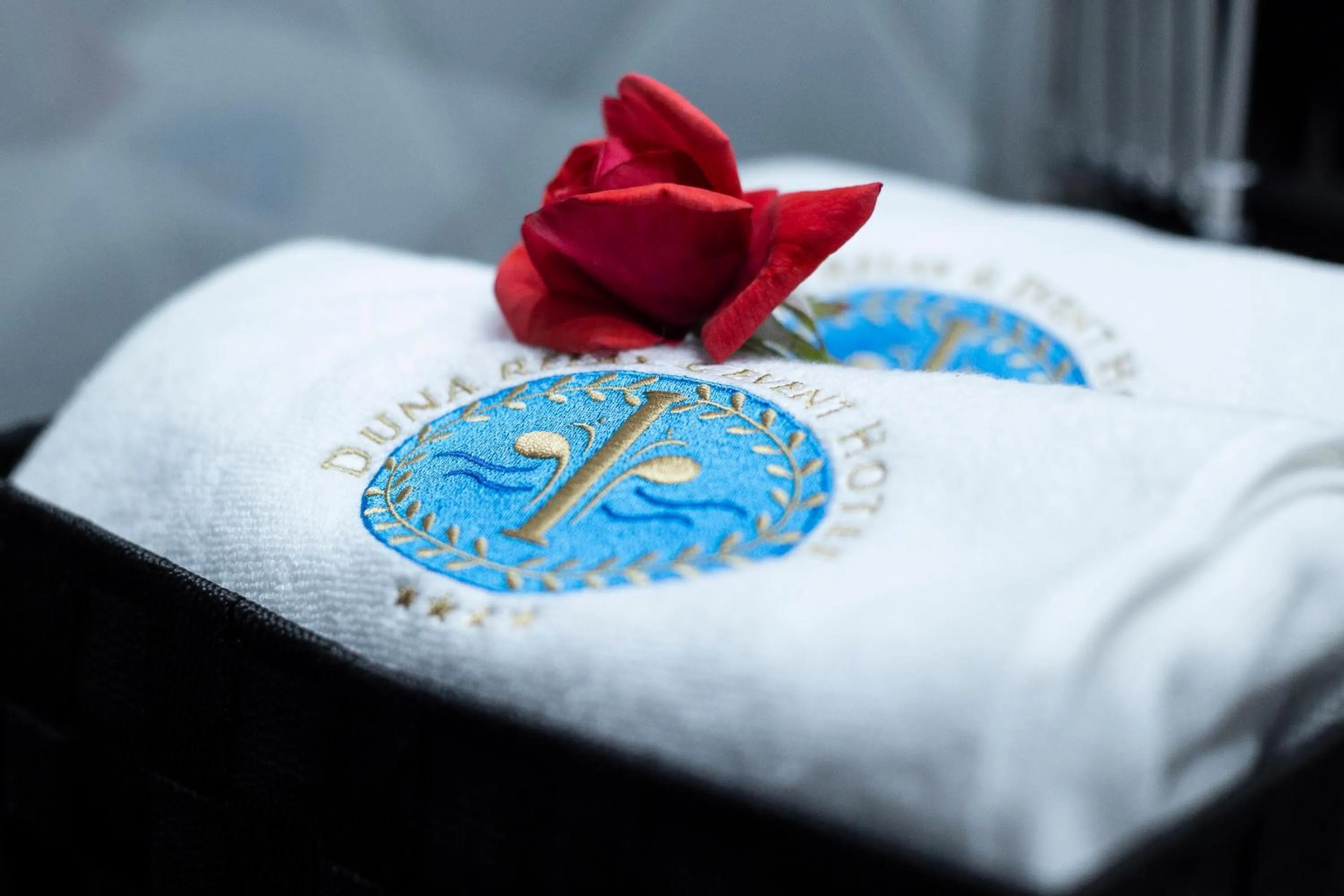 Decorative detail in Duna Relax Hotel Ráckeve