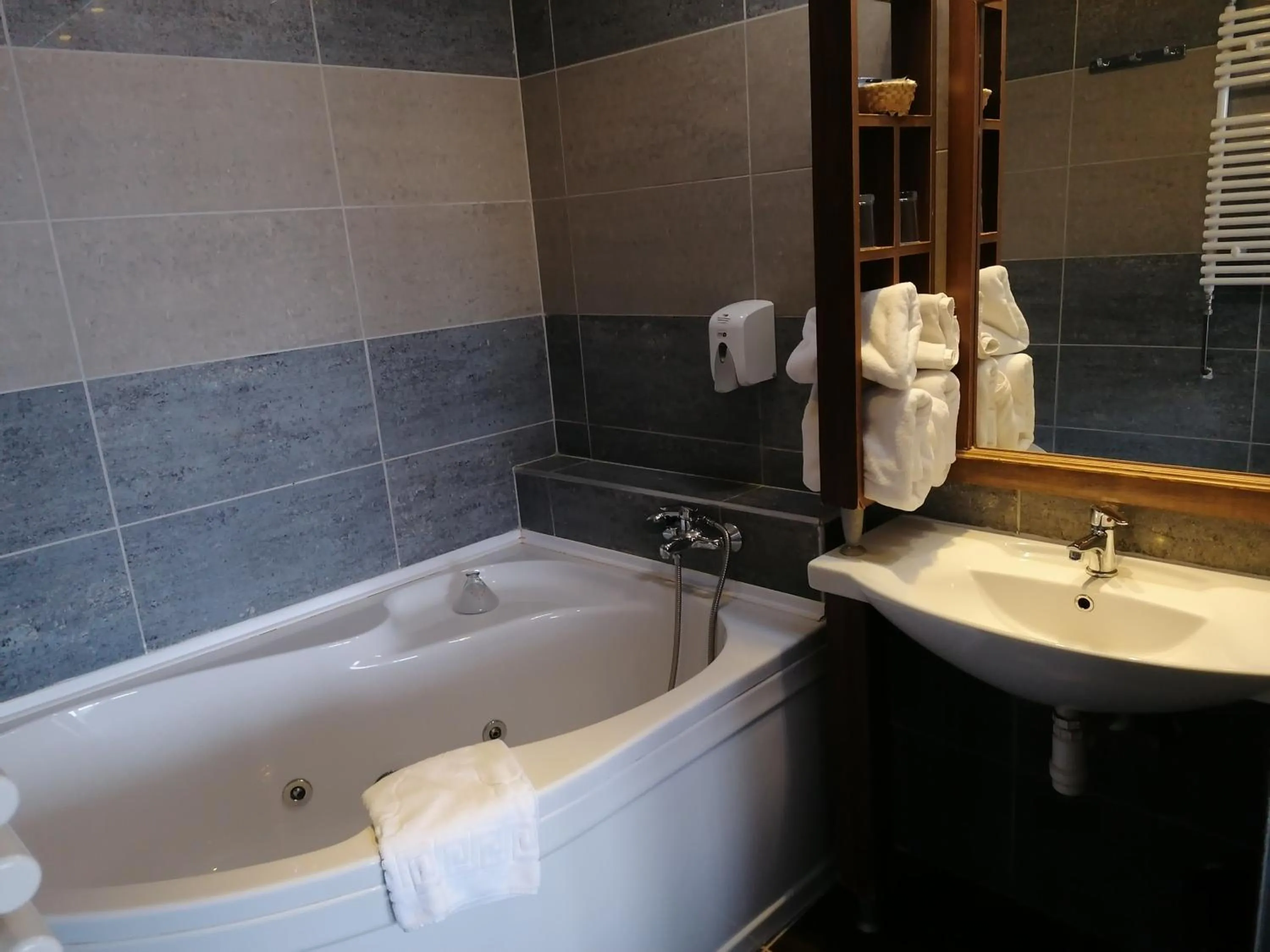 Bathroom in Duna Relax Hotel Ráckeve