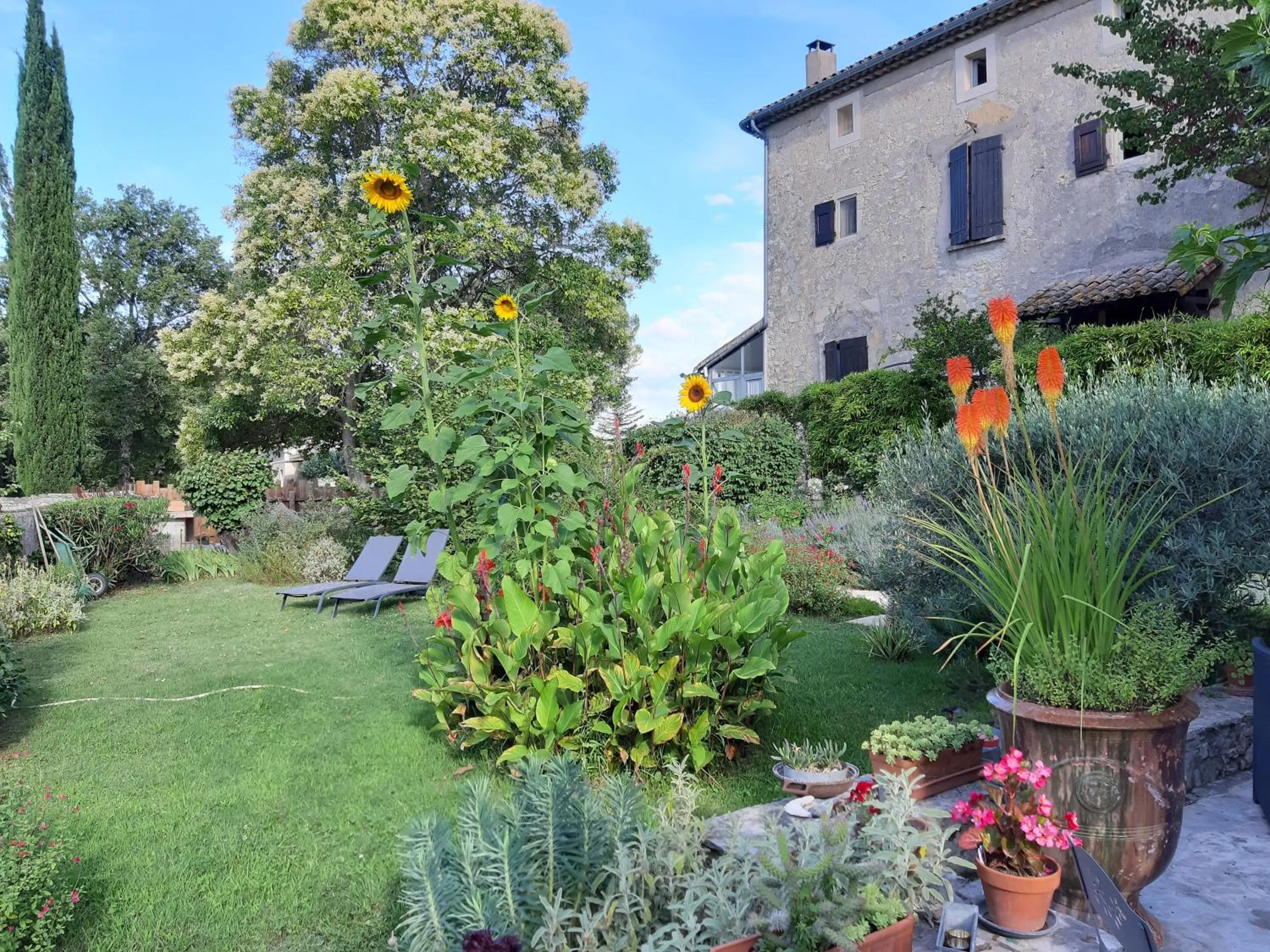 Logis des Magnans -Les terrasses du Coutach -