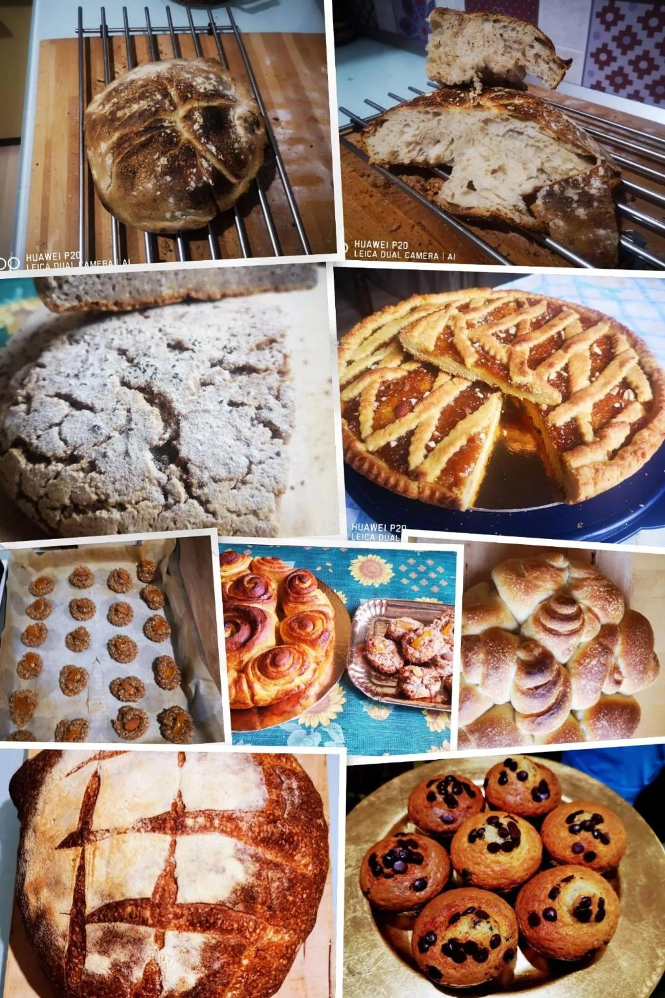 Food in Tettoeletto Garden Bio