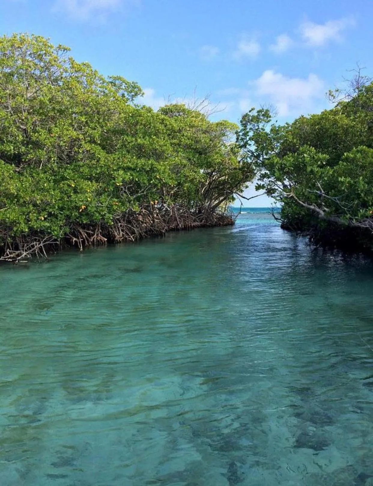 Beach in Turtle Bay Inn