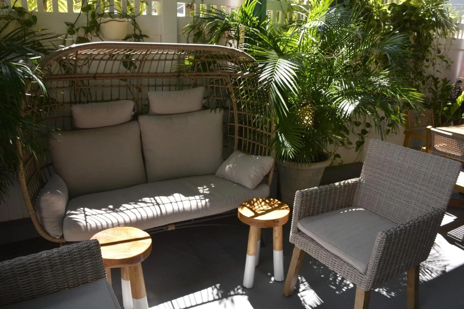 Lounge or bar in Turtle Bay Inn