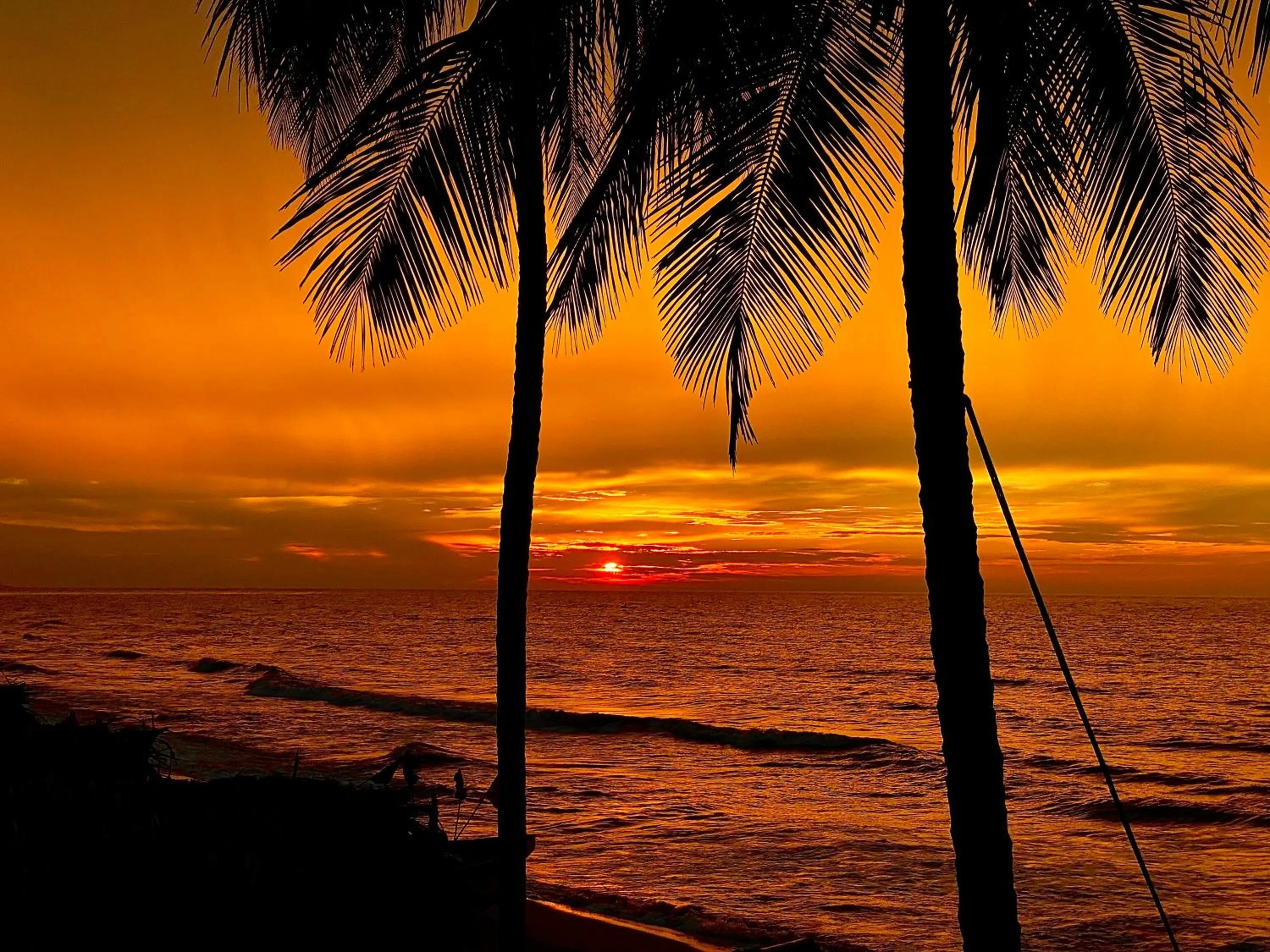 Summer in RCH LUXURY HOTEL & POOL