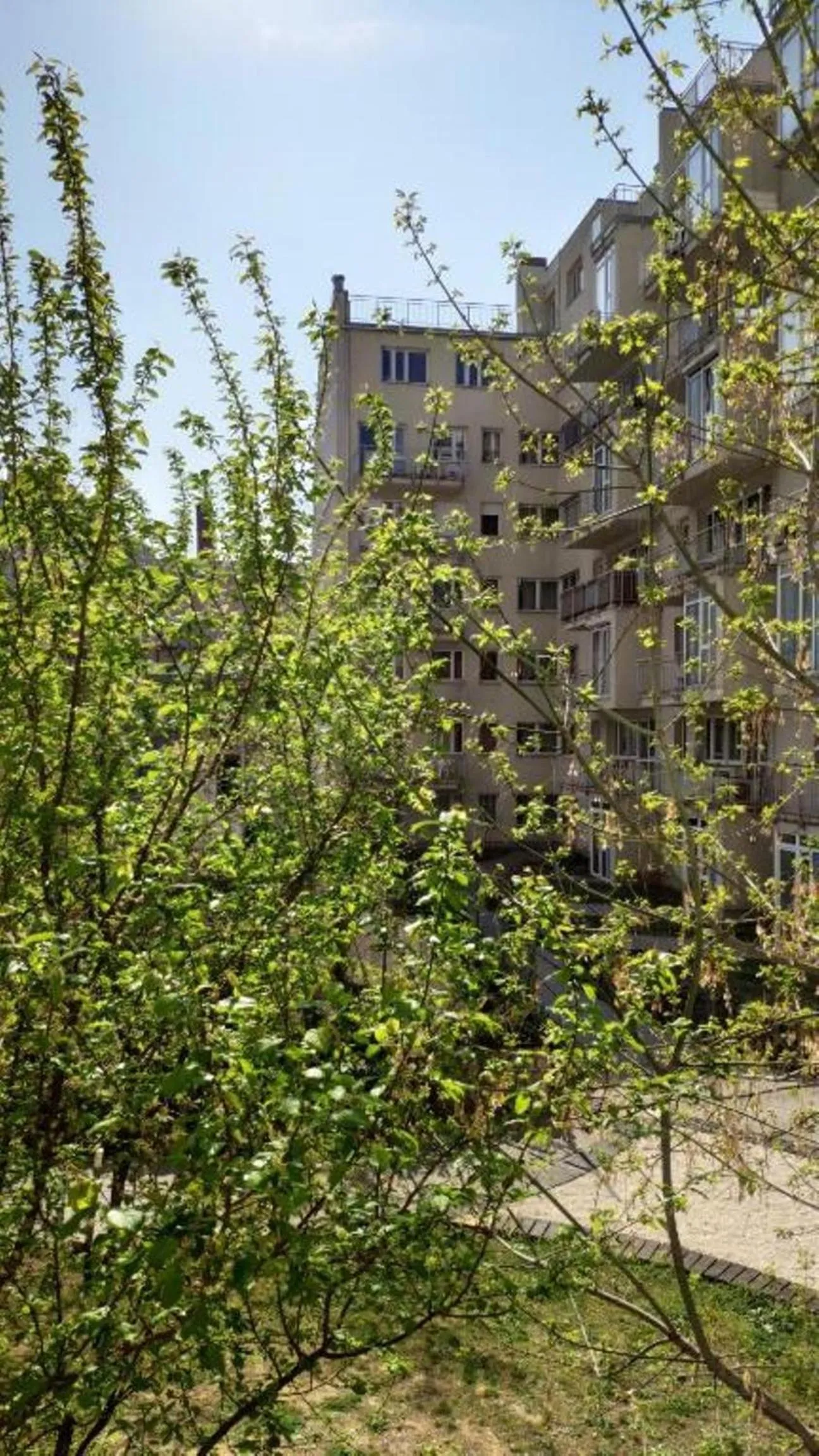 Day in Agape Apartments