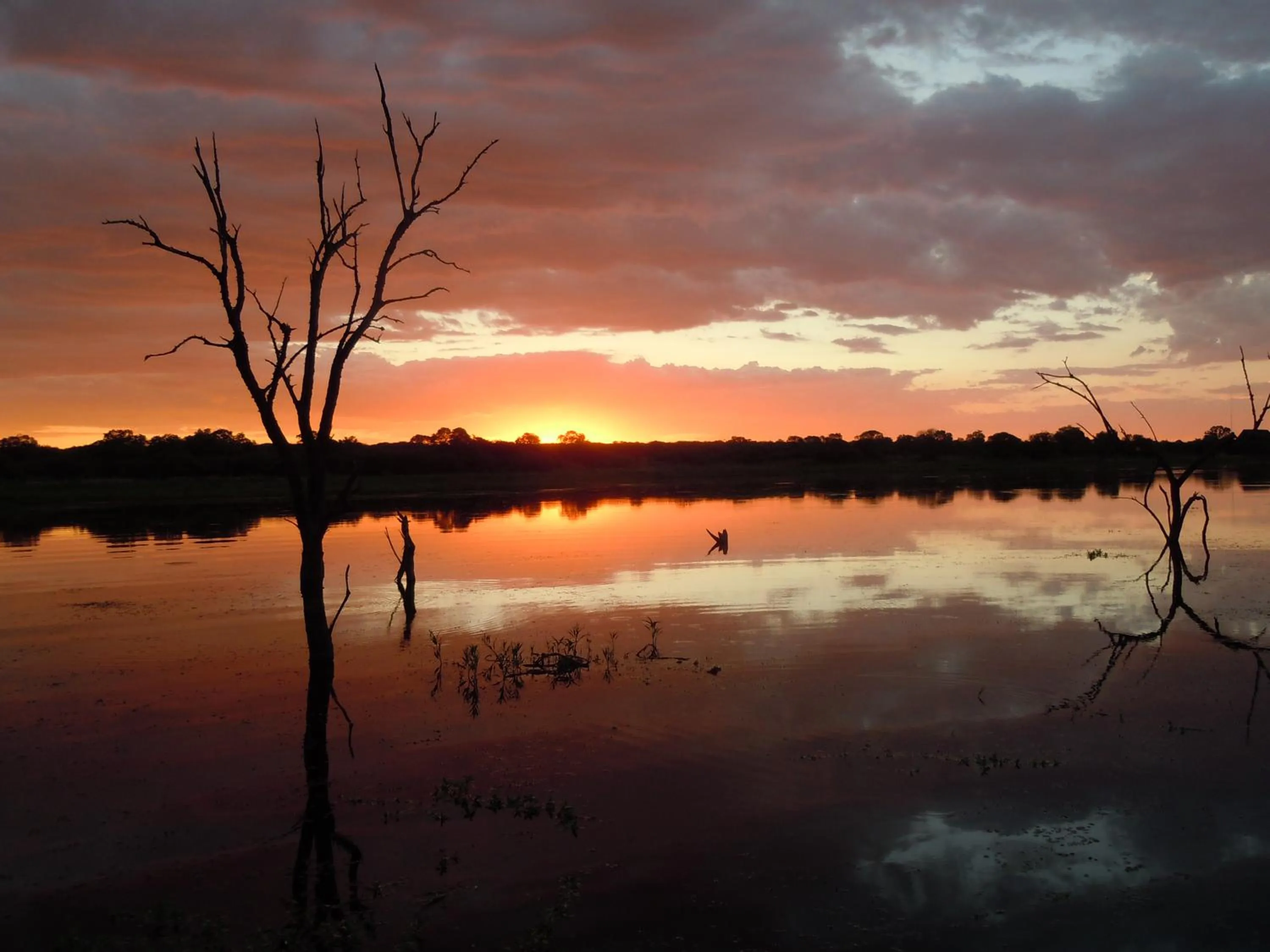 Lake view in Mongena Private Game Lodge