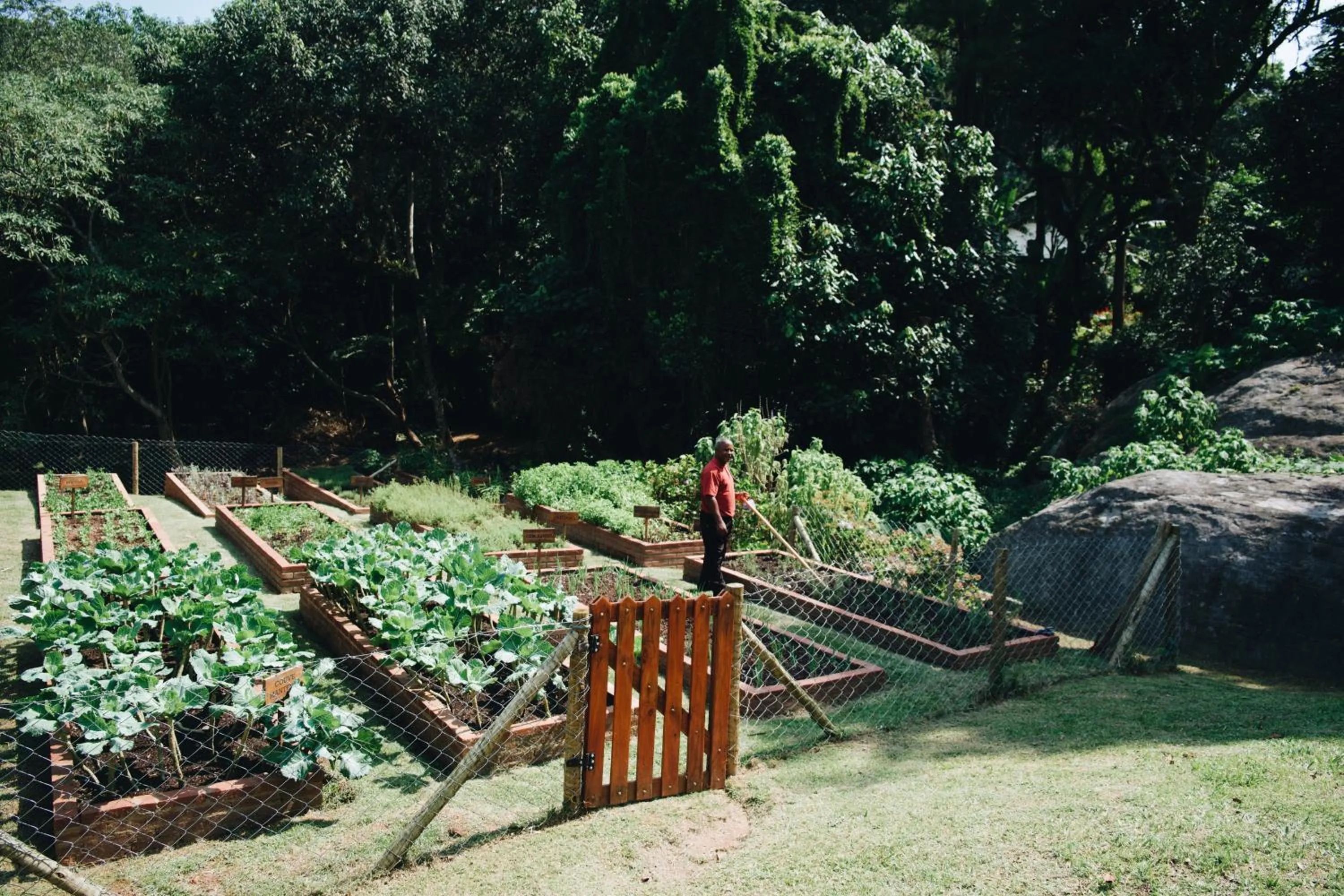 Spring in Almenat Embu Das Artes Sao Paulo, Tapestry Collection