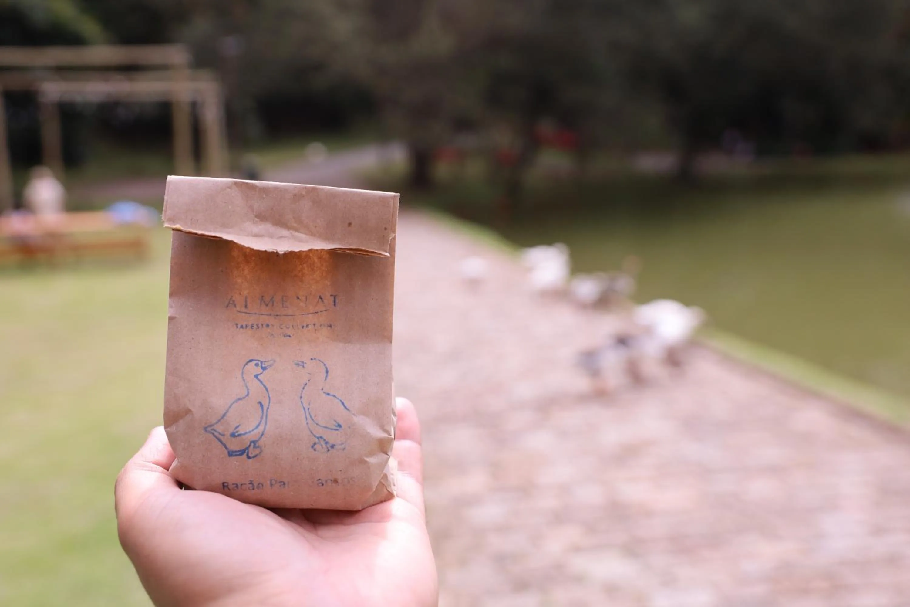 Lake view in Almenat Embu Das Artes Sao Paulo, Tapestry Collection