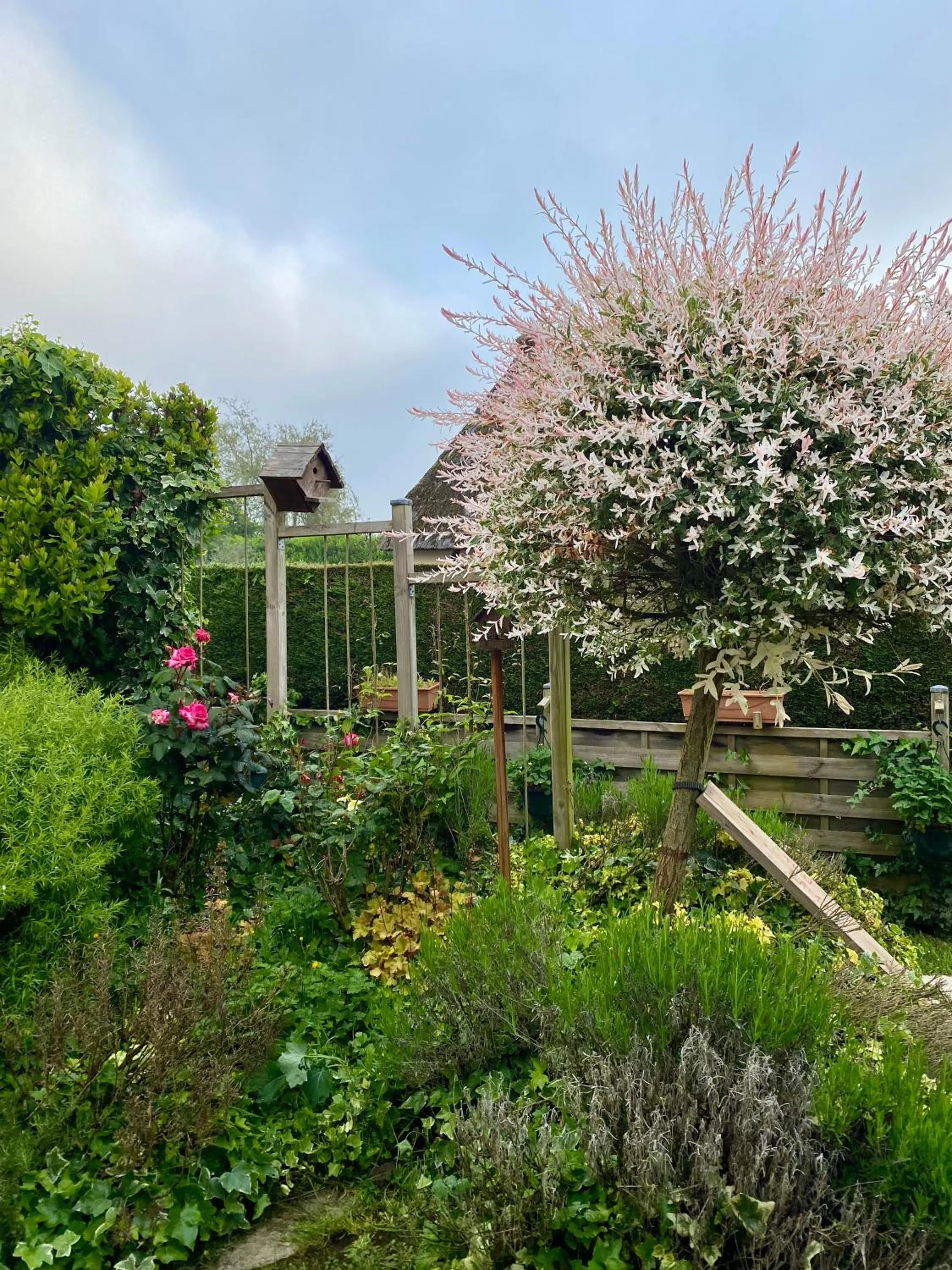 Garden view in Chambres tout confort du Tilleul