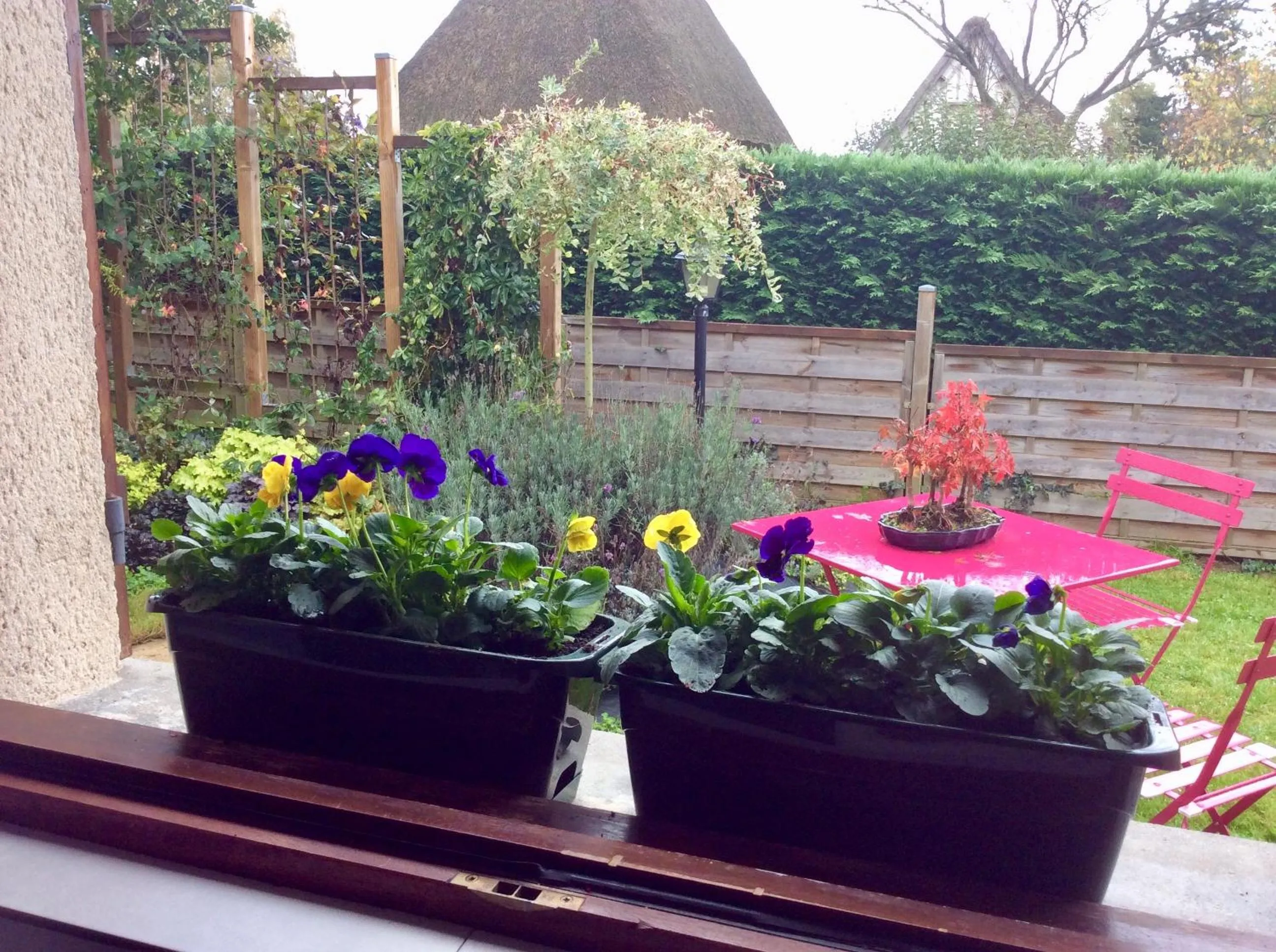 Garden in Chambres tout confort du Tilleul