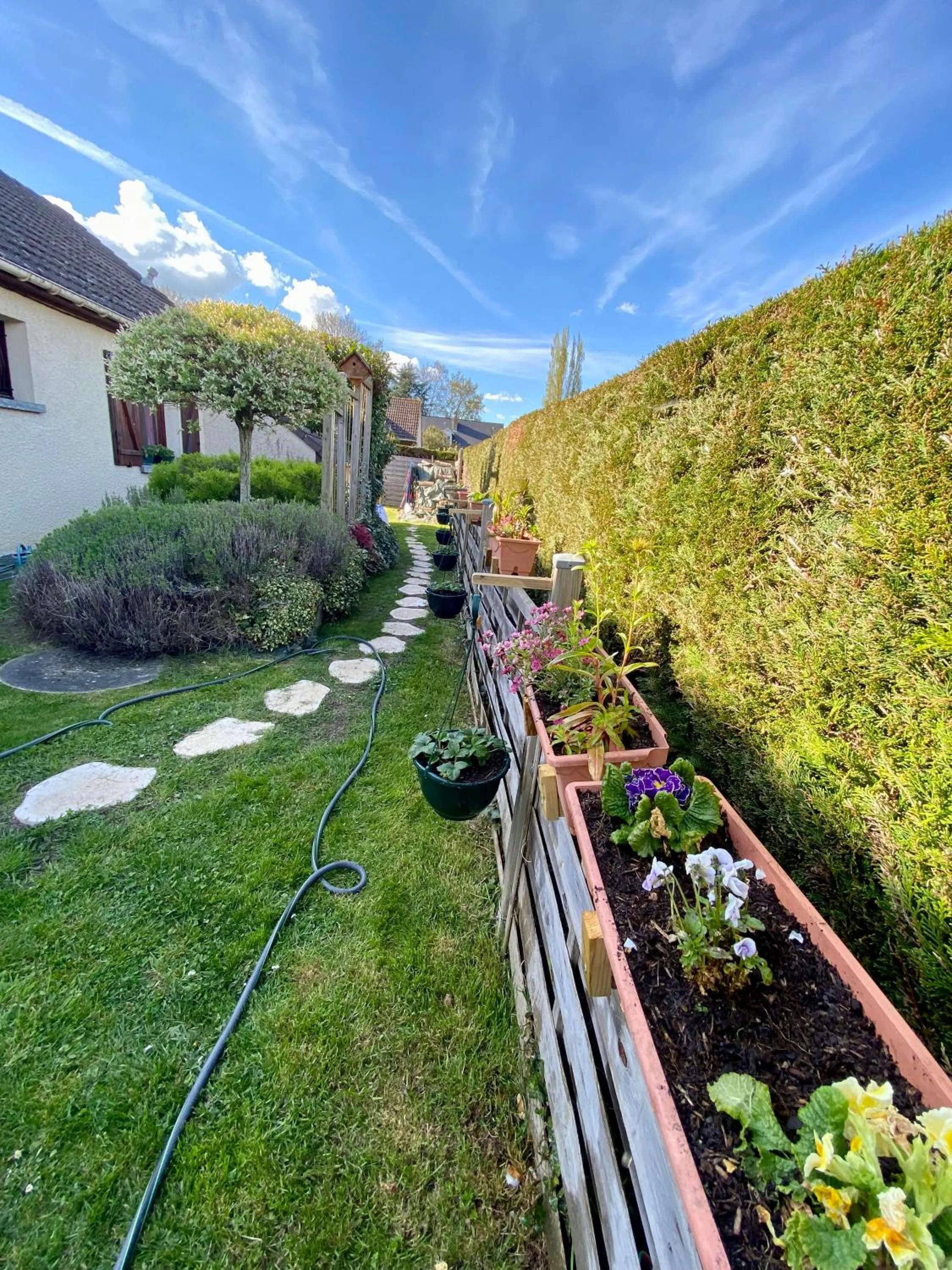 Garden in Chambres tout confort du Tilleul