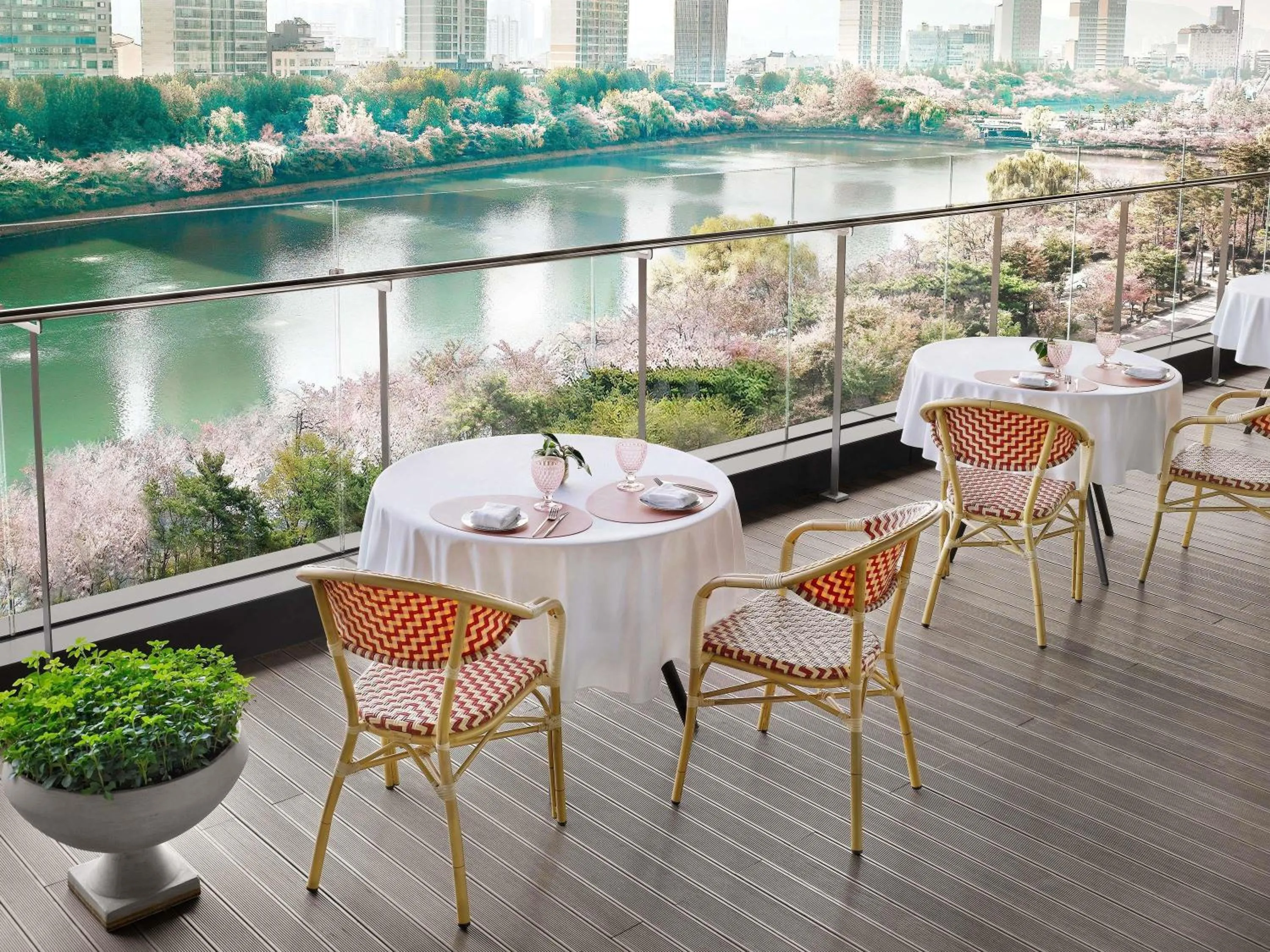 Restaurant/places to eat in Sofitel Ambassador Seoul Hotel & Serviced Residences