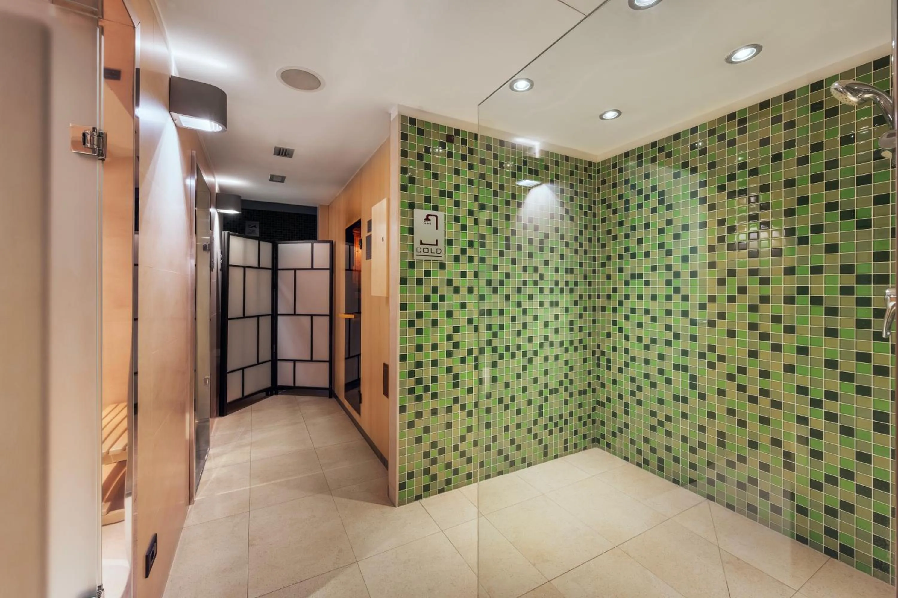 Shower in Ikonik Parlament