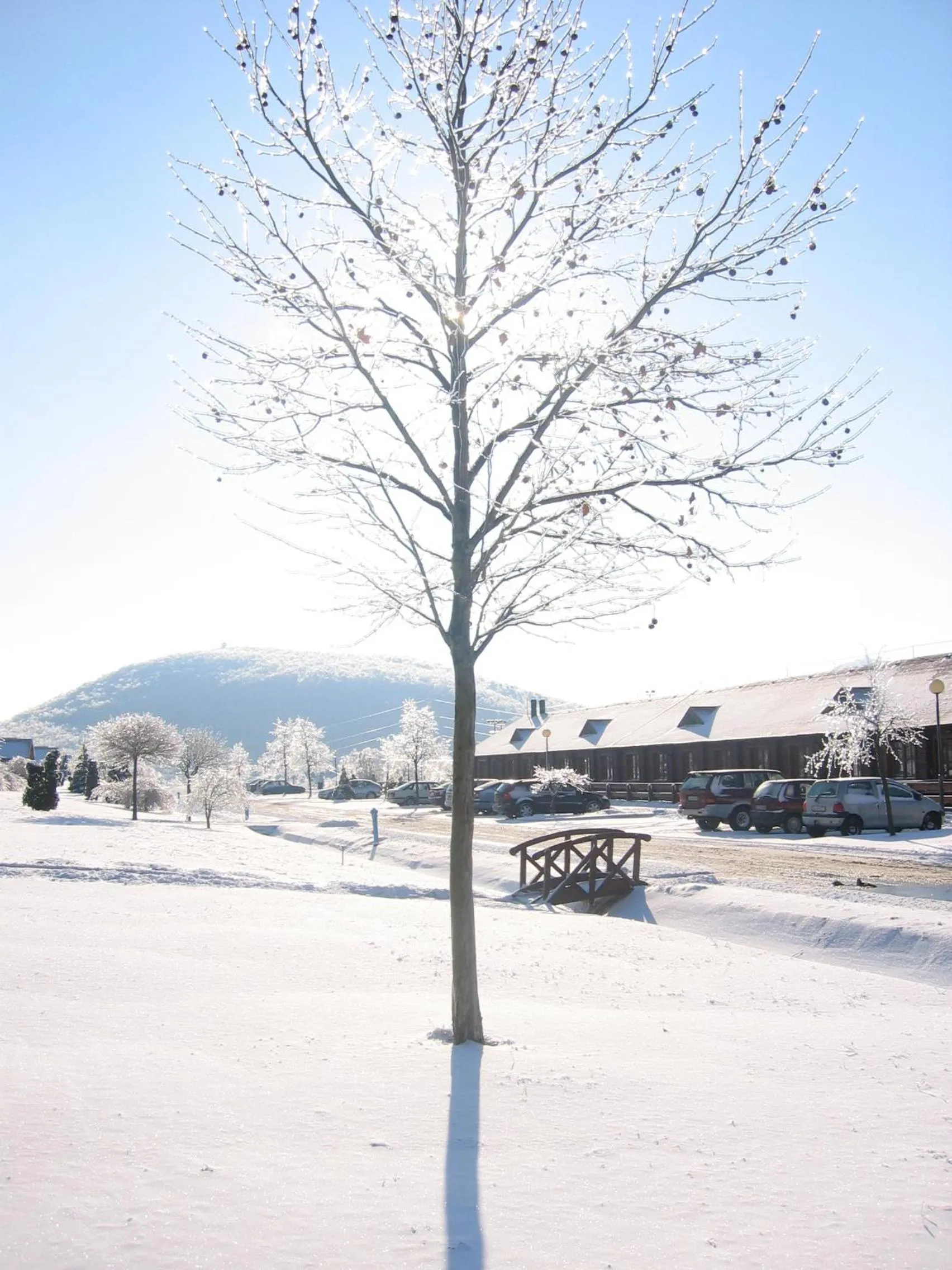 Property building in Petneházy Aparthotel