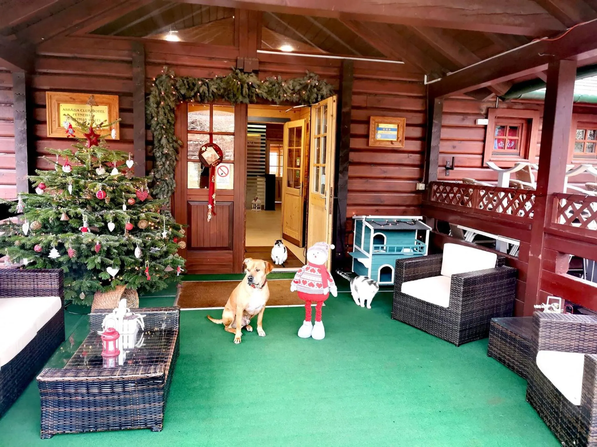 Property building in Petneházy Aparthotel