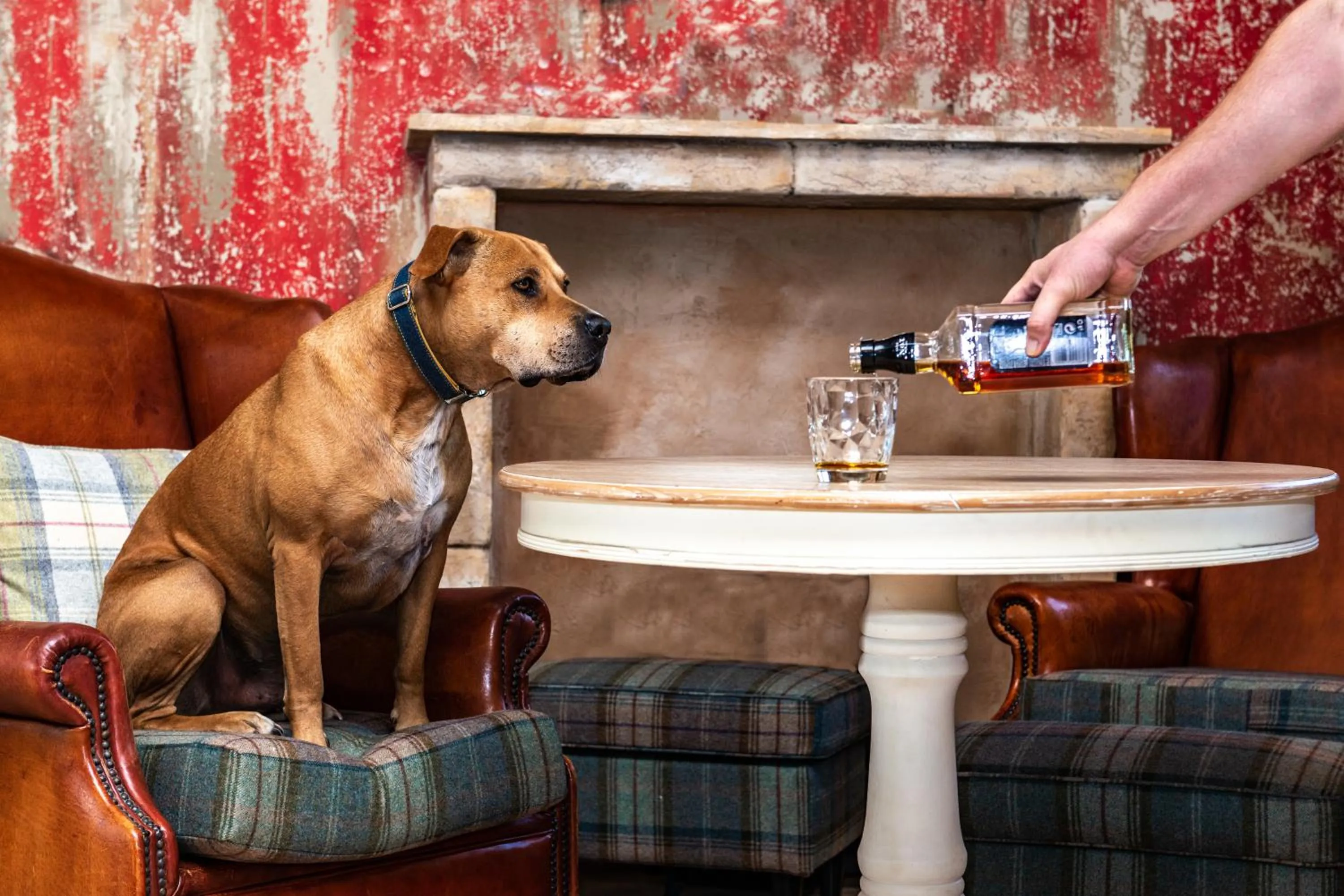 Communal lounge/ TV room in Petneházy Aparthotel