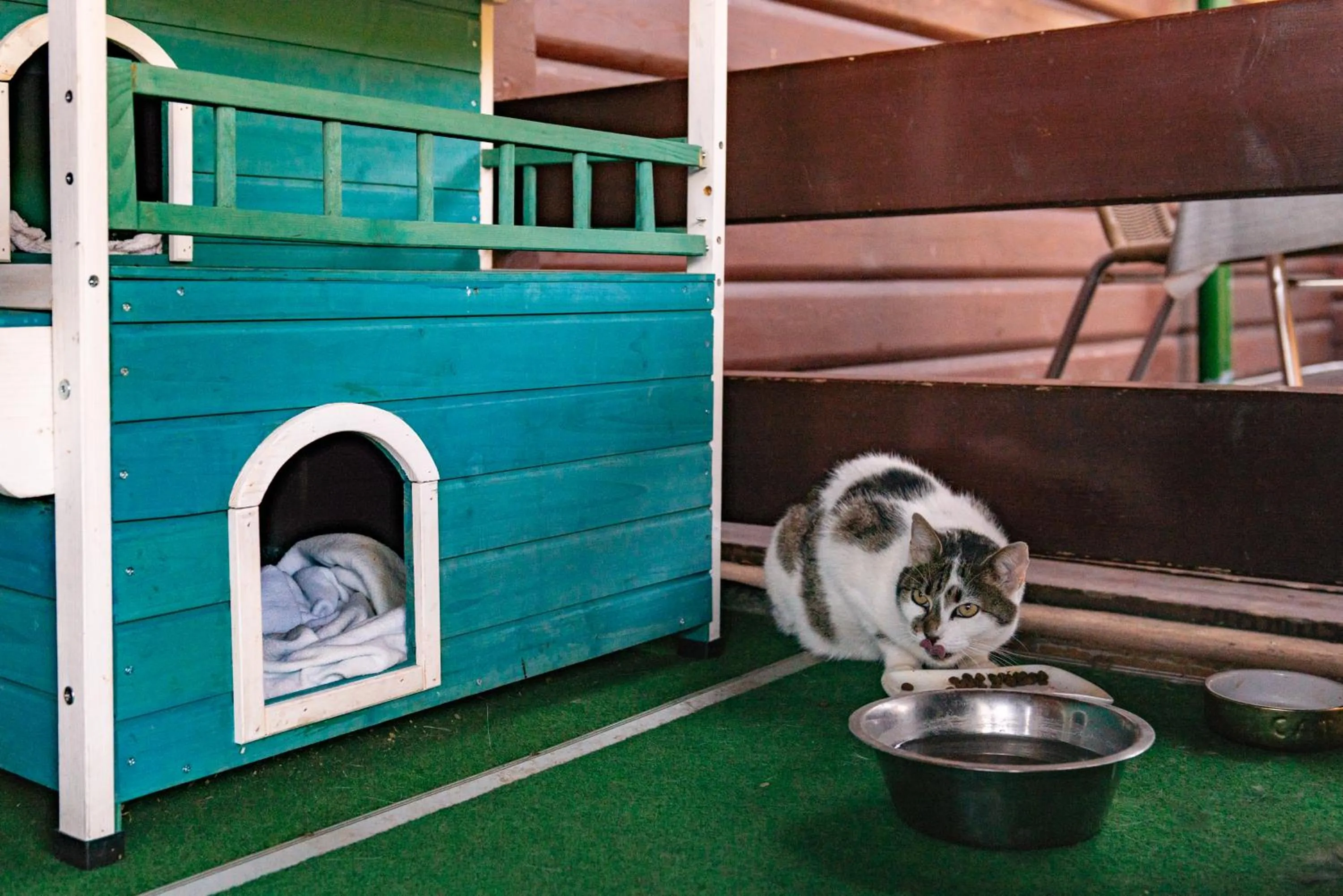 Facade/entrance in Petneházy Aparthotel