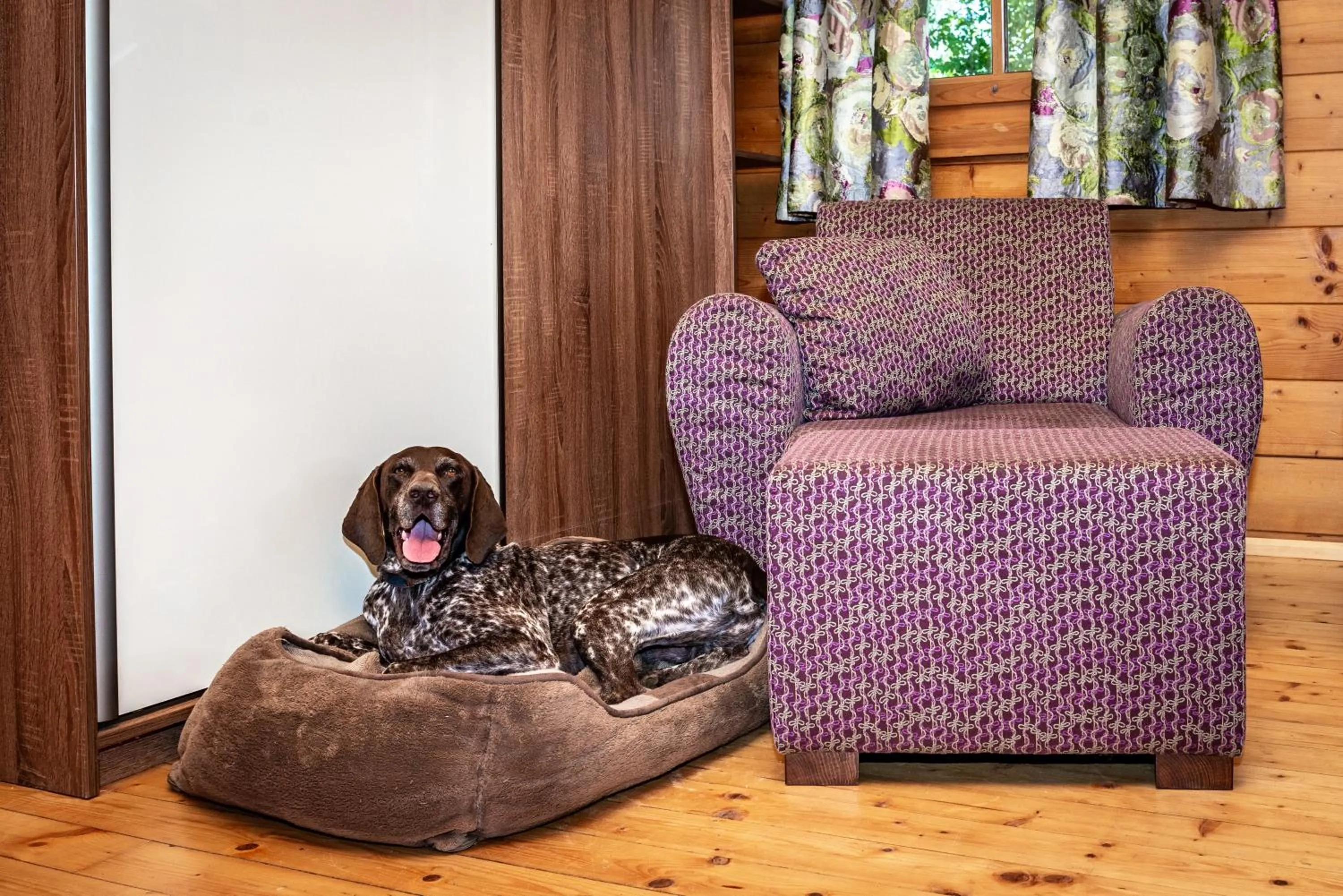 Property building in Petneházy Aparthotel