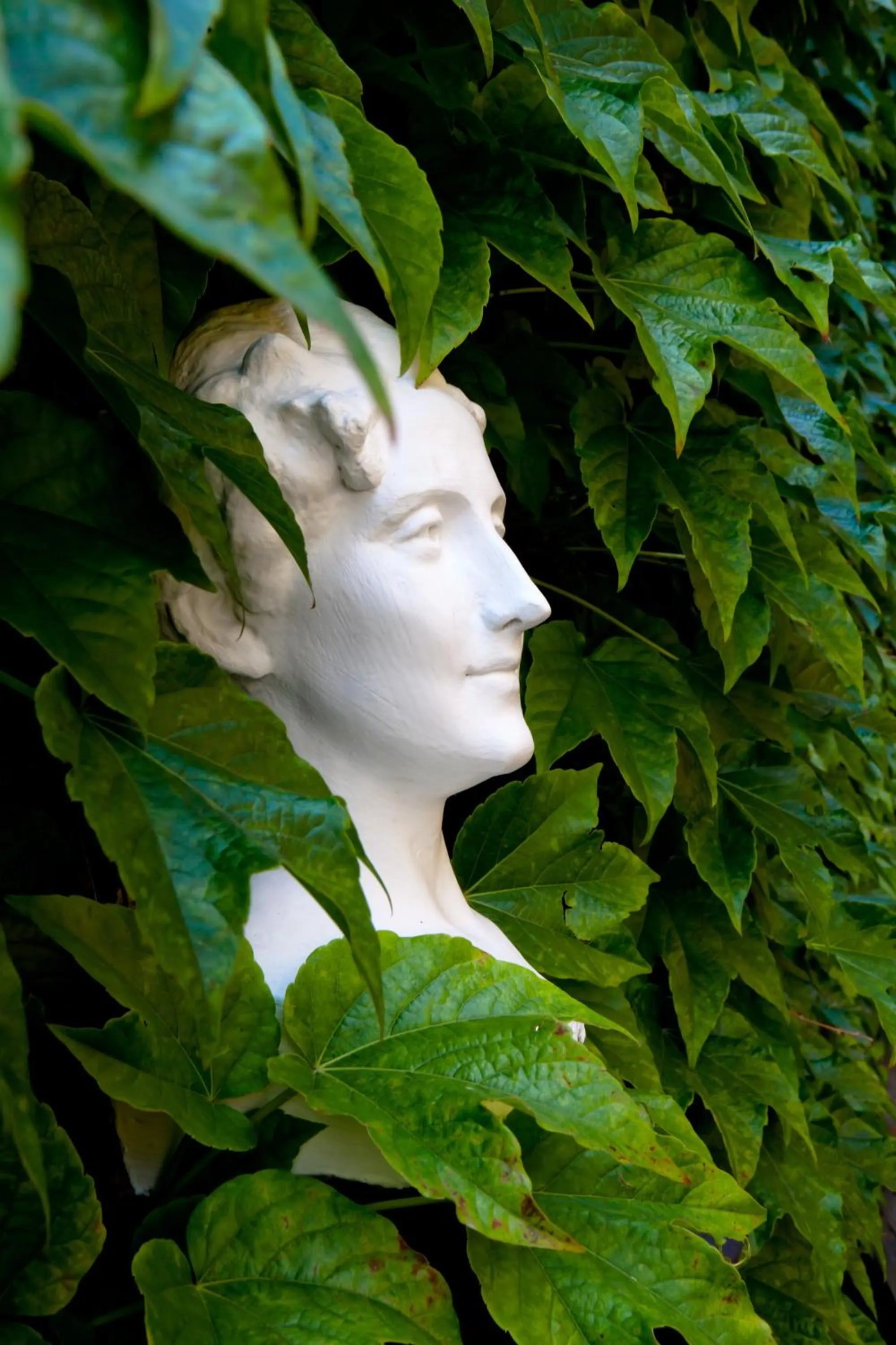 Facade/entrance in Mathias Rex