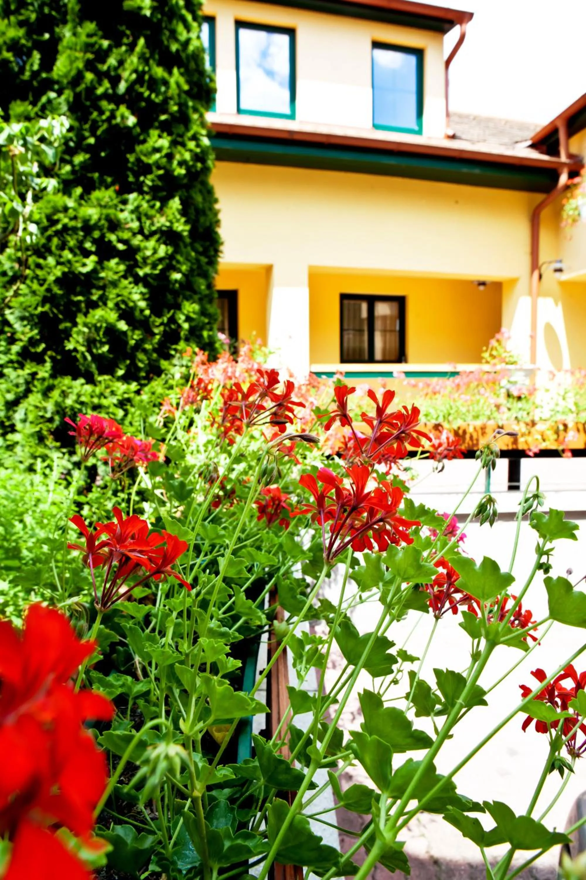 Facade/entrance in Mathias Rex