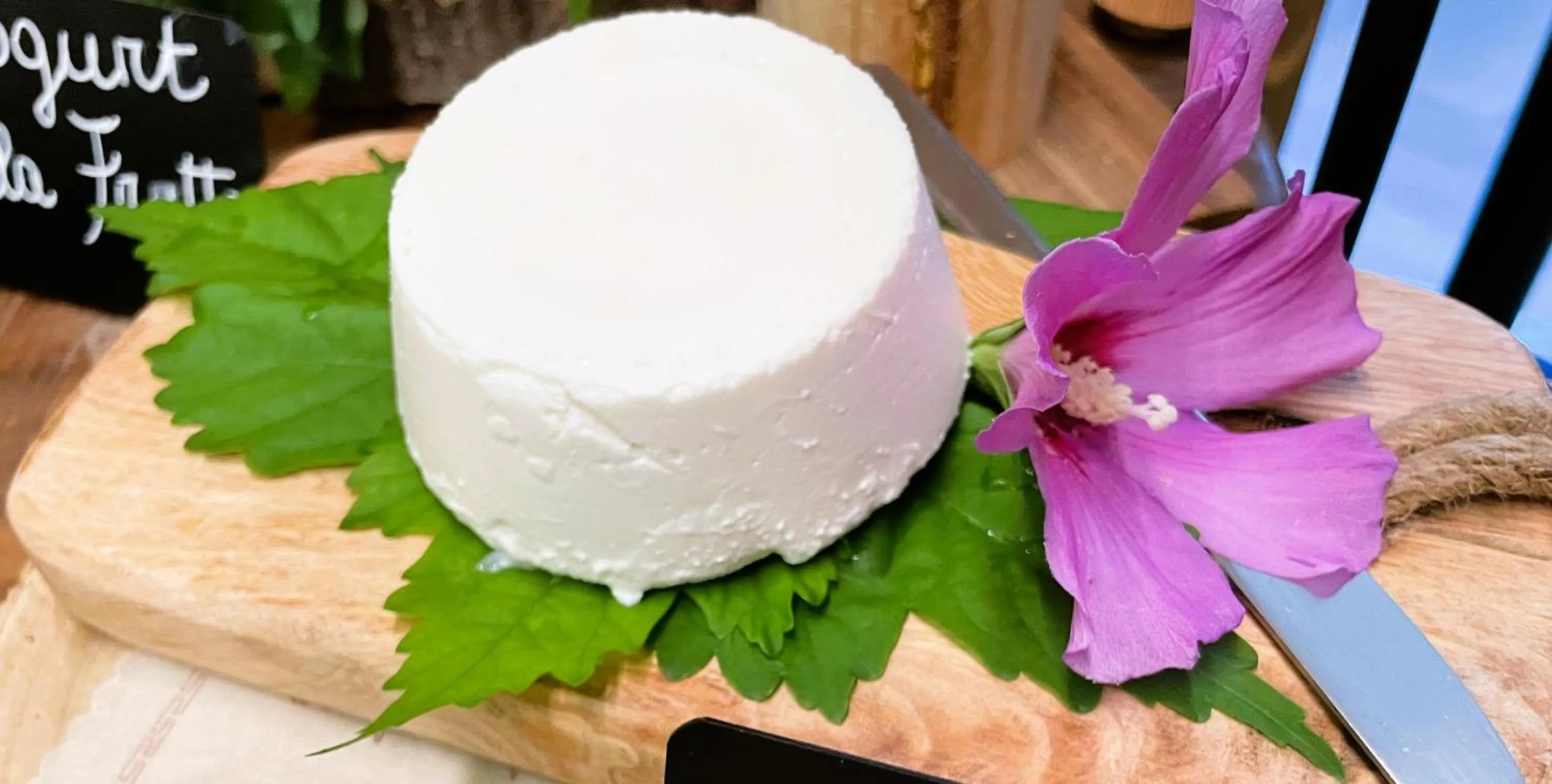 Restaurant/places to eat in HOTEL LE FONTI