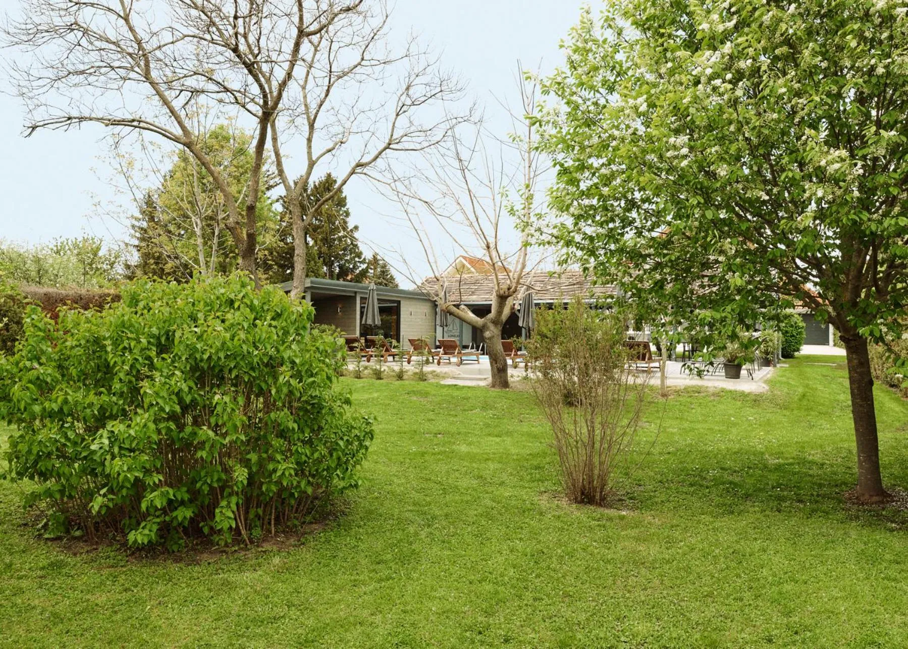 Garden in Lorelei Pension Adults Only