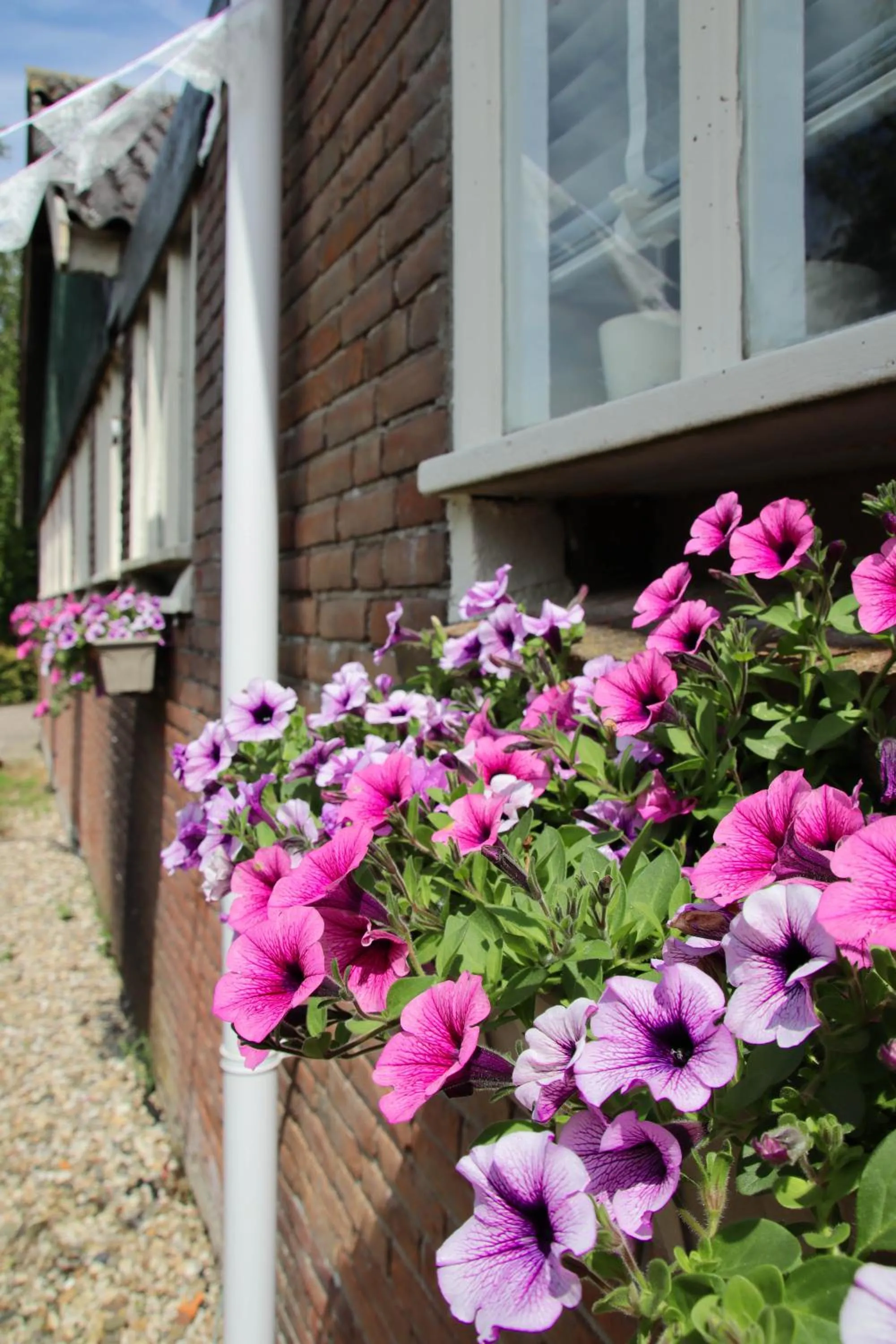 Decorative detail in B&B Schotererf