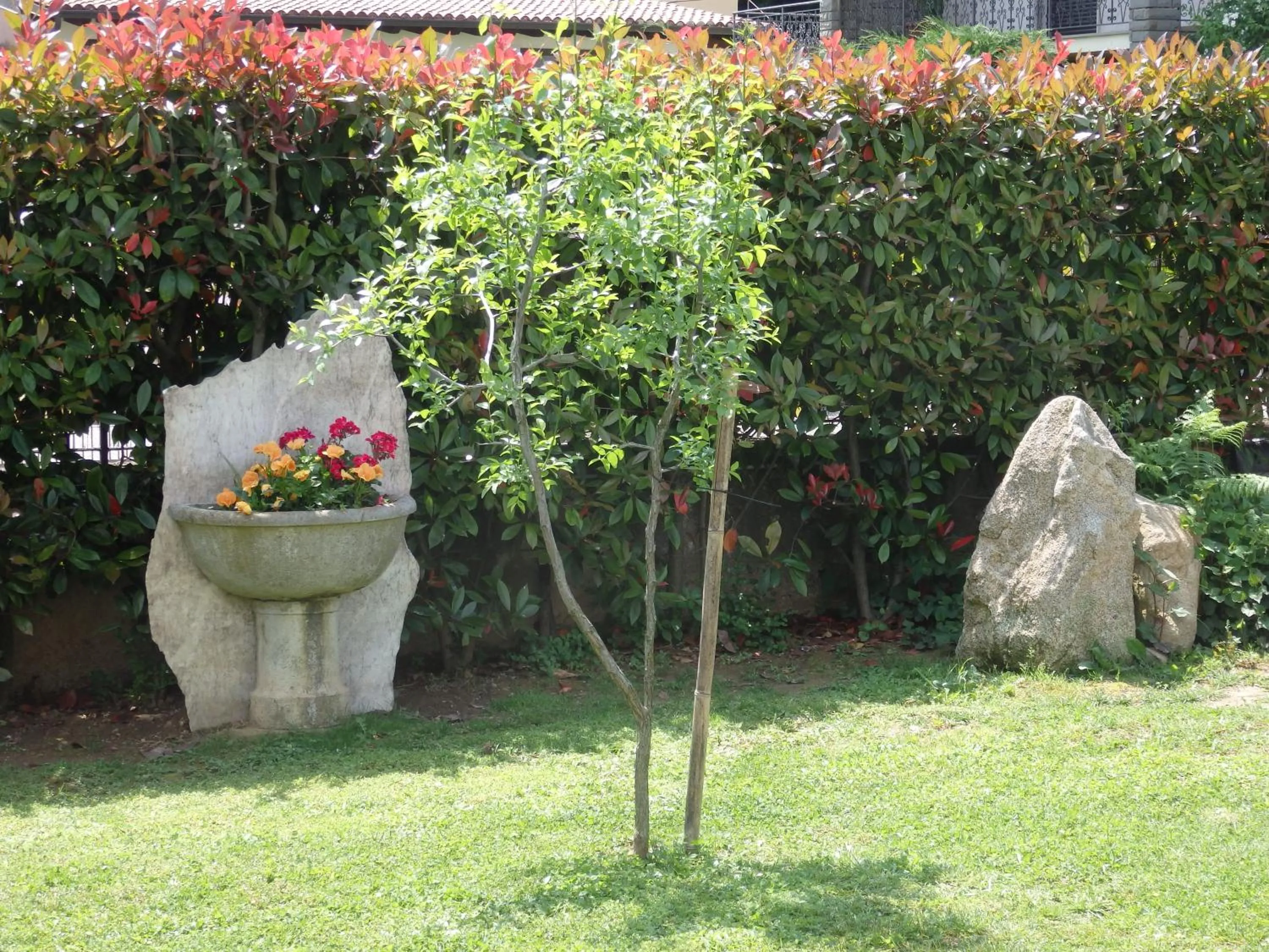 Garden in Riflessi d'Arte