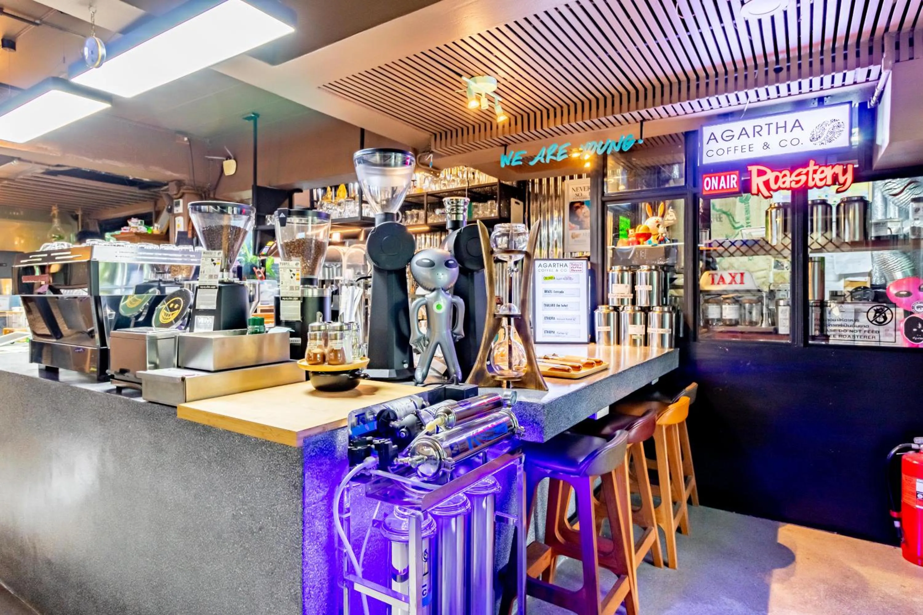 Restaurant/places to eat in The Palm Hotel