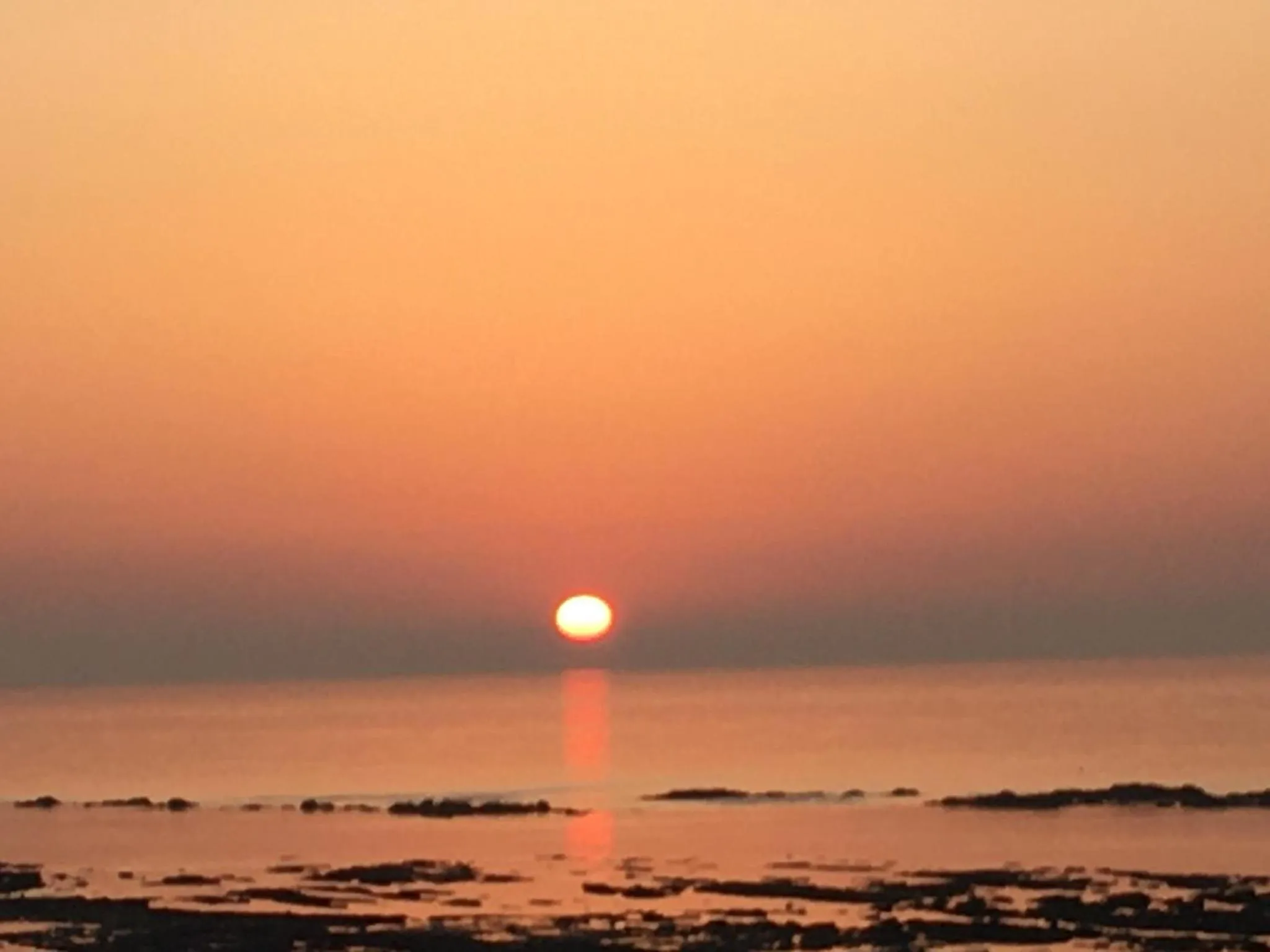 Beach in The Halcyon