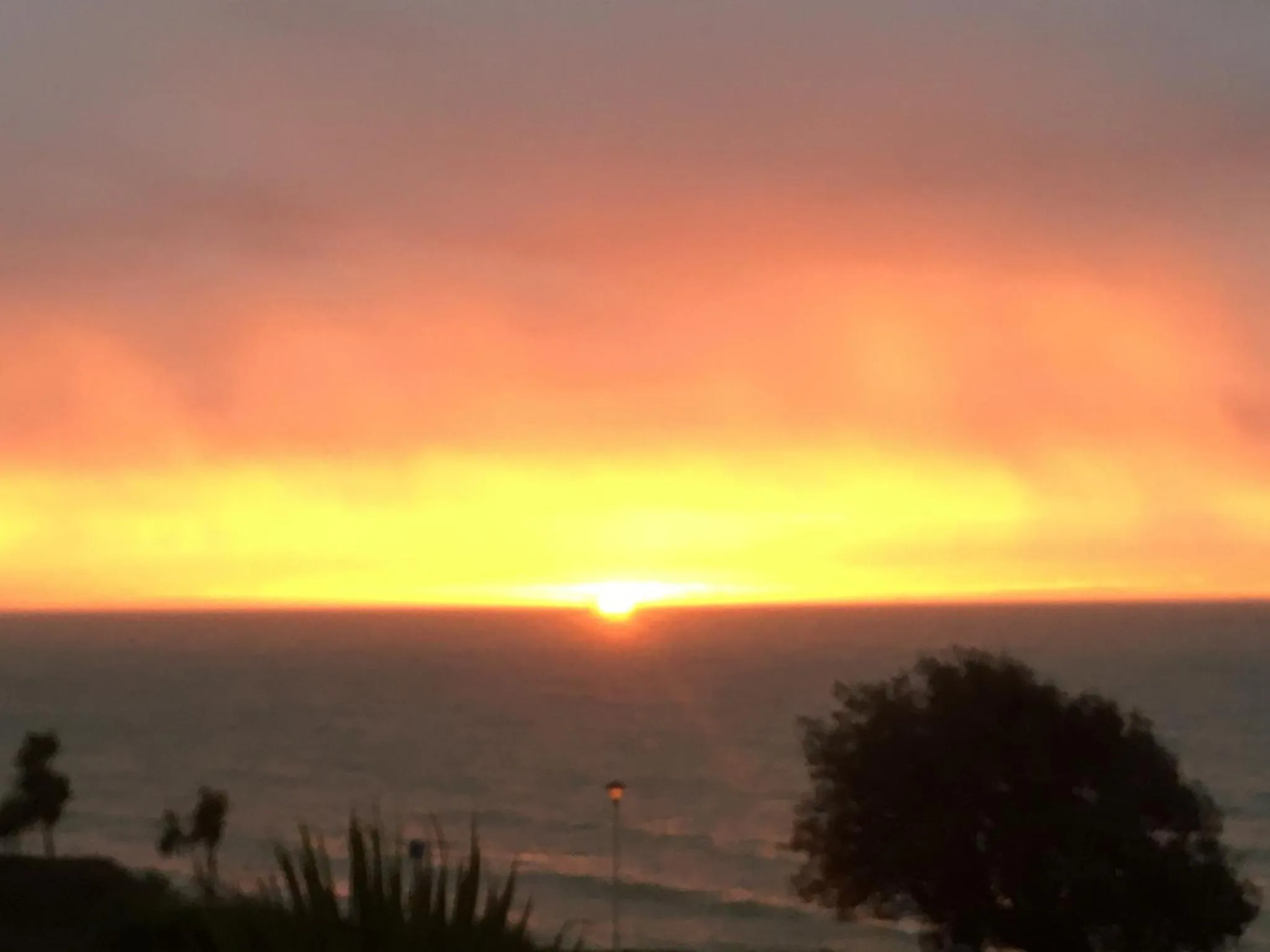 Beach in The Halcyon