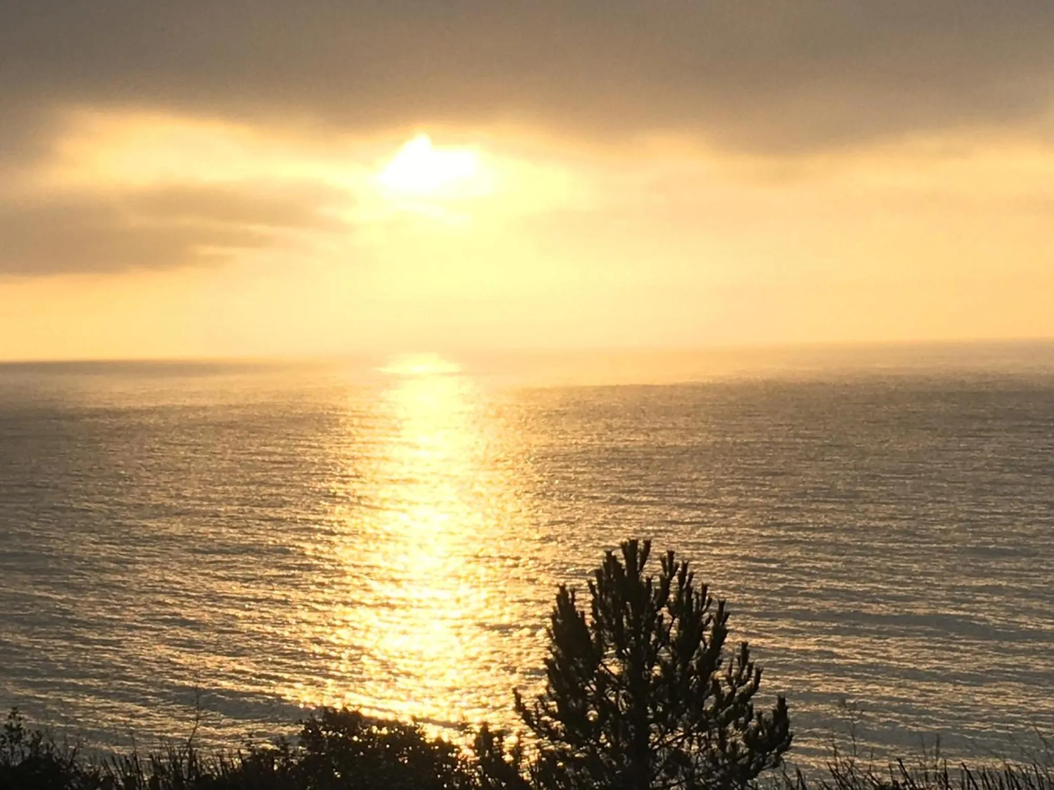 View (from property/room) in The Halcyon