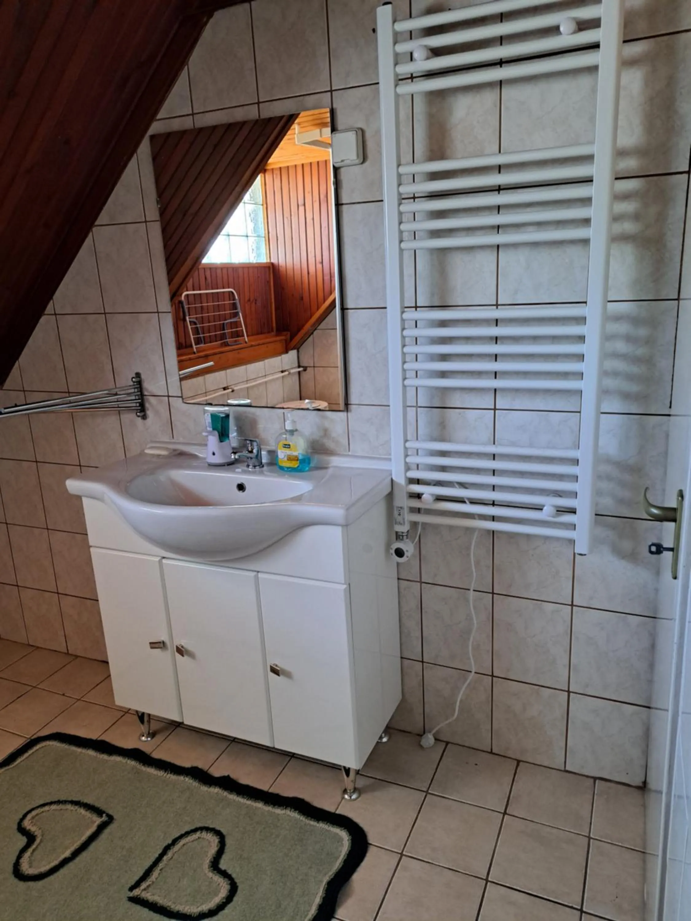 Bathroom in Pink Tulip Apartment House