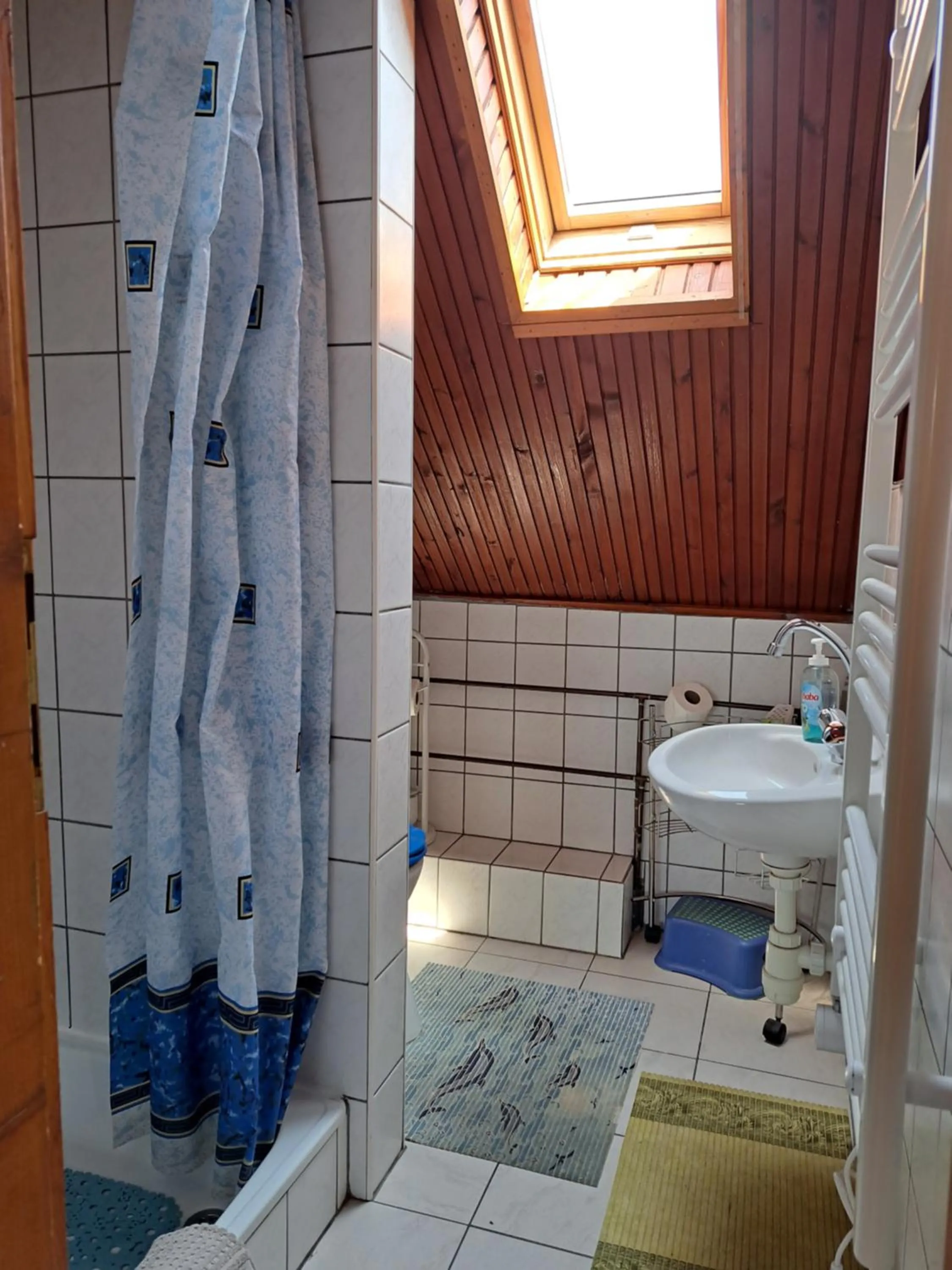 Bathroom in Pink Tulip Apartment House