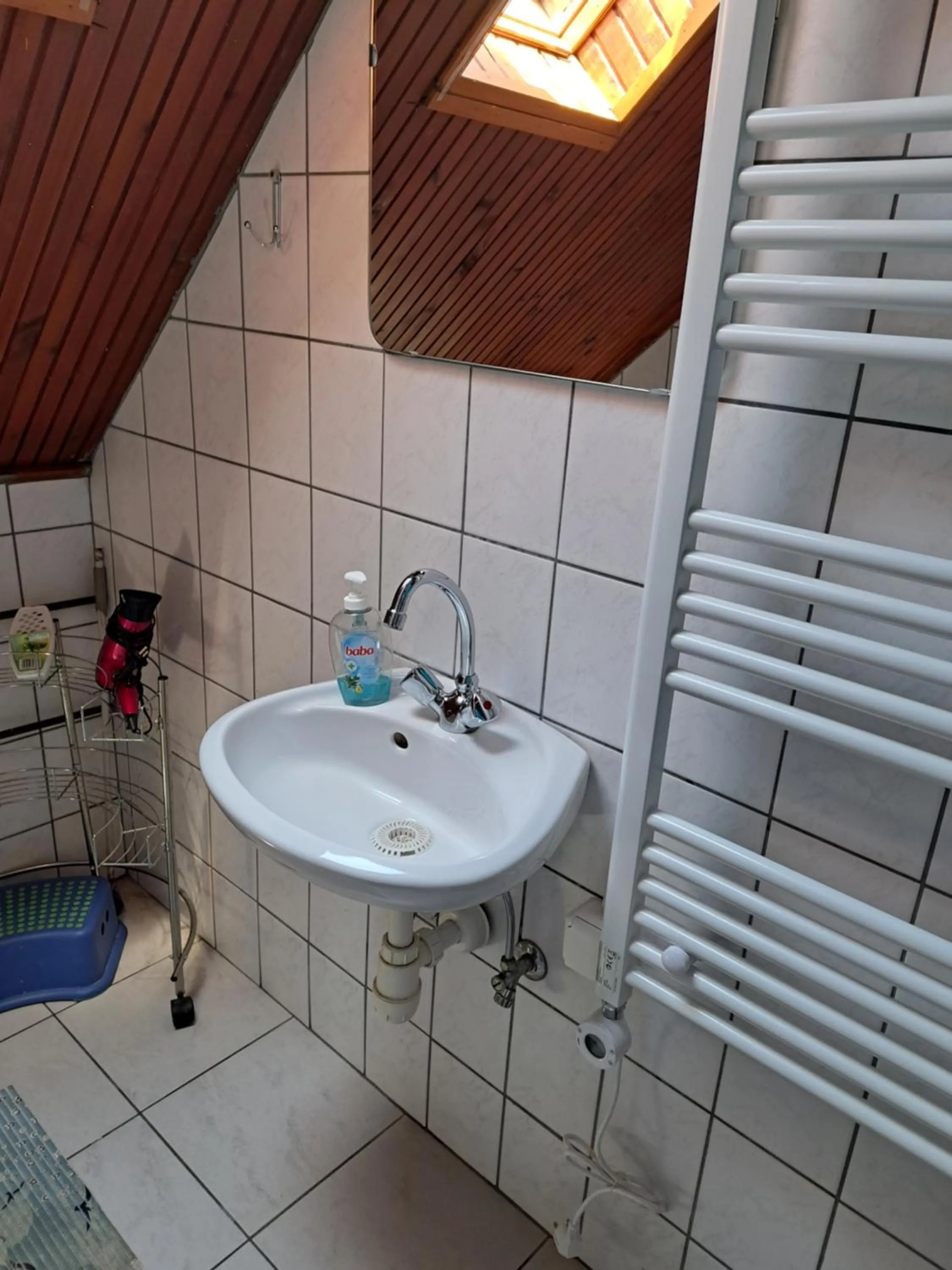 Bathroom in Pink Tulip Apartment House