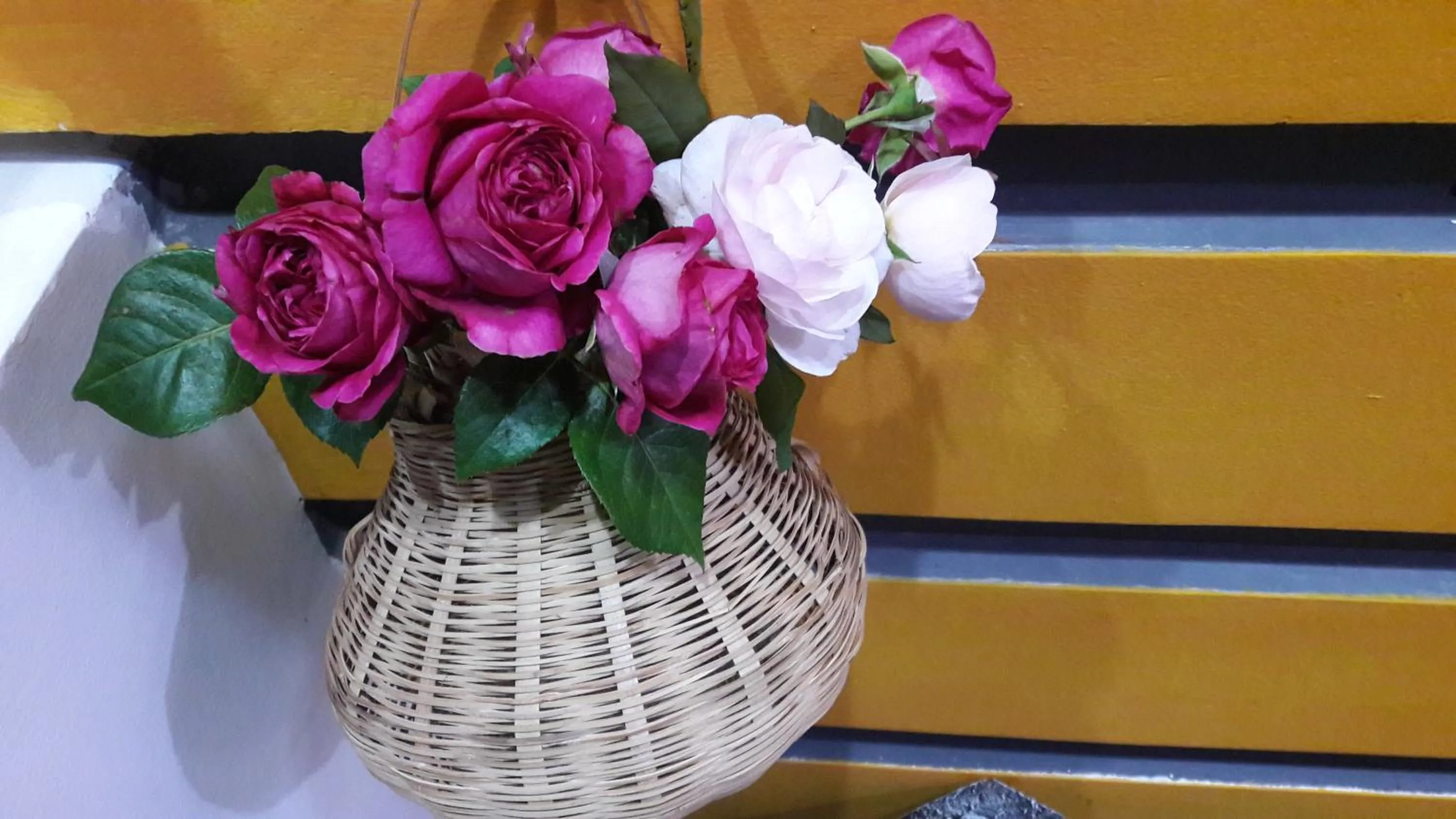 Library in Sunas Home - Villa in Vung Tau